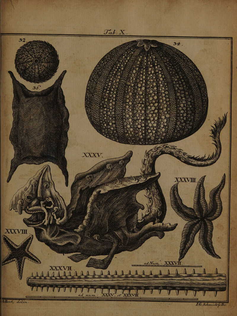 &amp; n X y Dy zz nt f^ [À ir h^ U/, n Ko [) rus AO 7 VUE cS M NM SEN: Ww, SN Se CON EV a » ^Y m S 250) o c A) L6. SM : N d LE | 9 pps nut 2 RA CNN DESESEOS MTPYWO Sco S avem. $900 ARR id xj S. SO o ANS Sd Nee QUOC PO ^ OR) SX ANY.