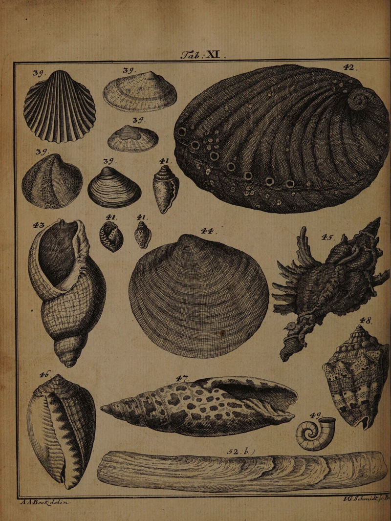 00 QN eet ? ze CMS NN NS NN [^ Ms ut EA UIAFPSU PAP  Zw $ É P, : 7