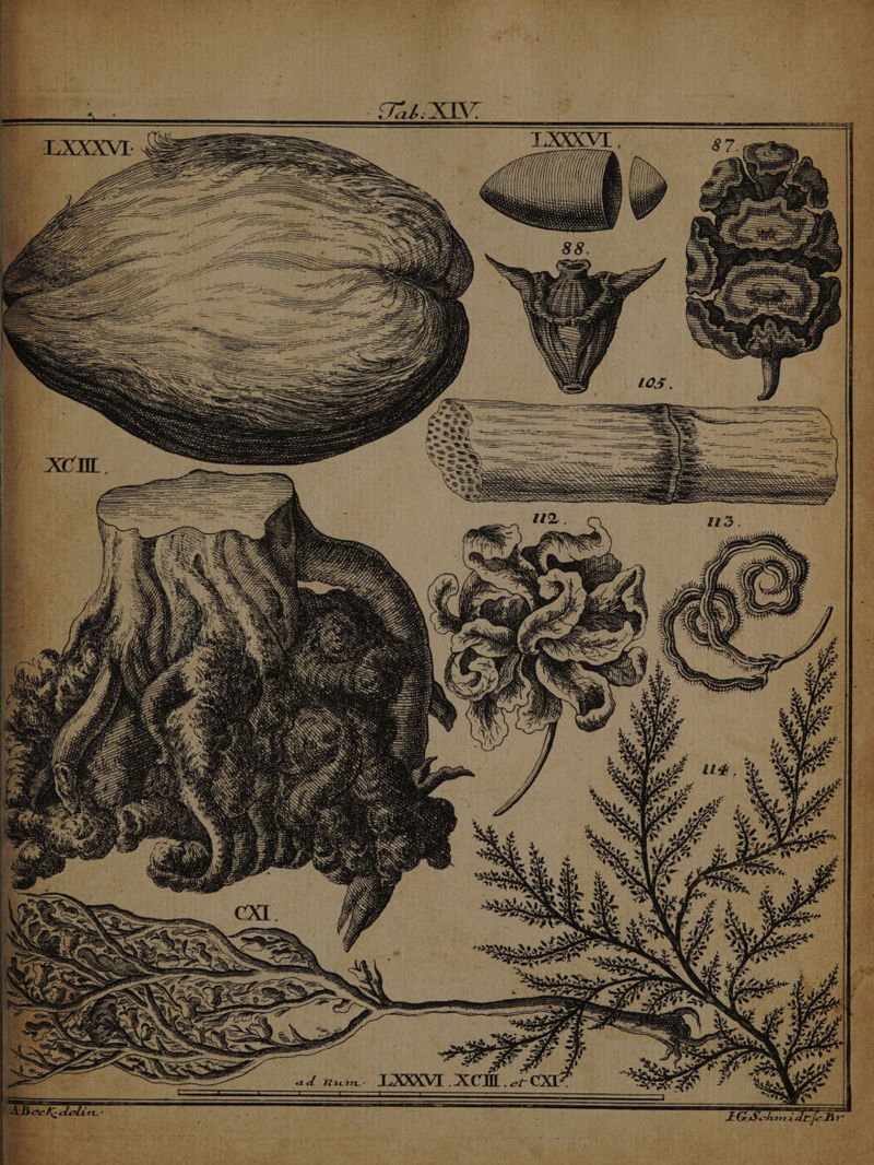 wet SS Sen SENS E CA A e EE cem c uU ever mE E 2. chini dt Bi IG.