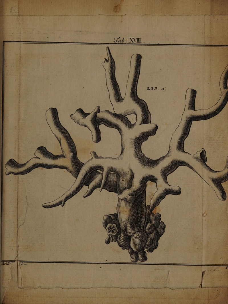 17. zs A em in Mia — Mana a cii aca pr Rp guter tmr ge T n dina SN mb DS ar te He im arena —€——— ME TL AL