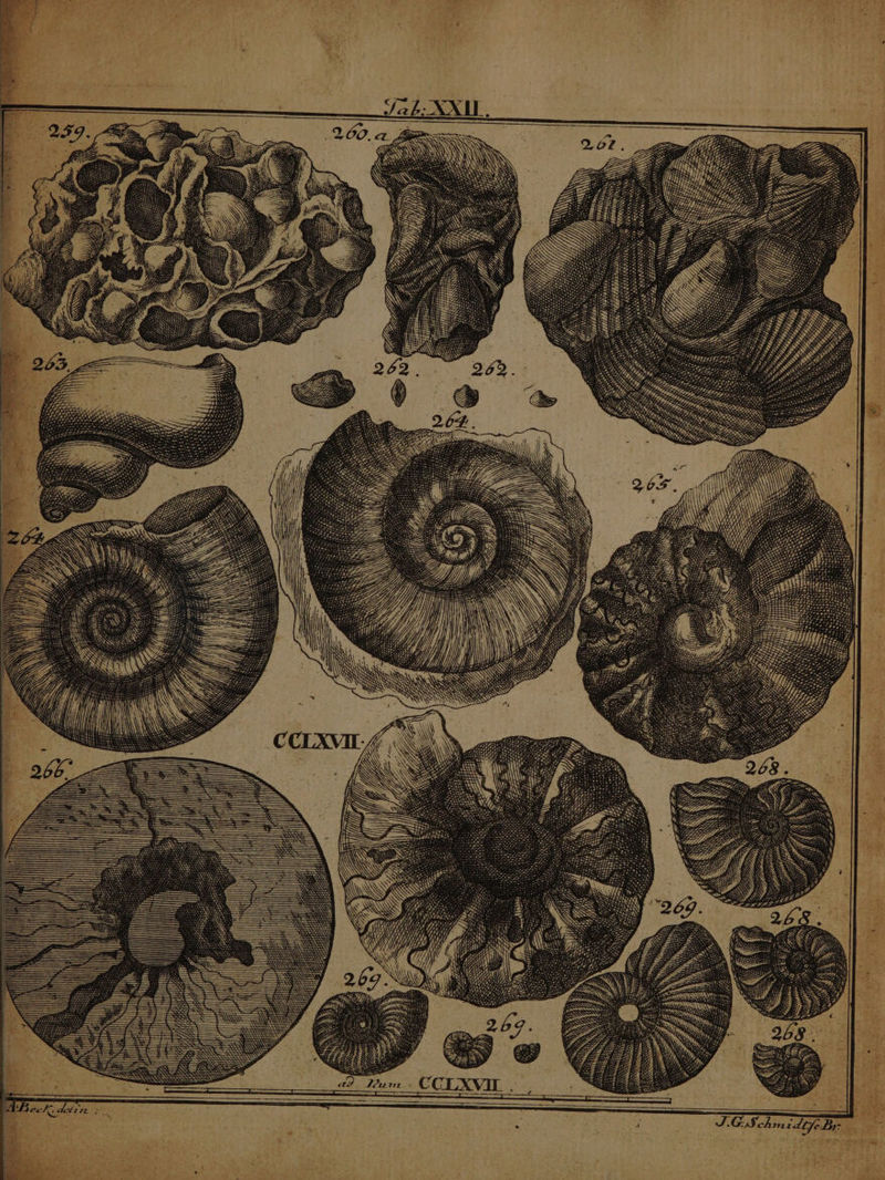 ER Tz SIS J:G,Sc hs. PR M ERN OUS SR S v , f  ^, M .  i] j^ ?