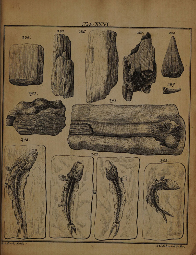 in Lf. TOU Jf D  92 / D f. tll ^| 4. Li 9/ 7 / A A A P9 7 3 7 77 77 I um I, E, ; A A, / 7 / 27727777 A UUETT ARR