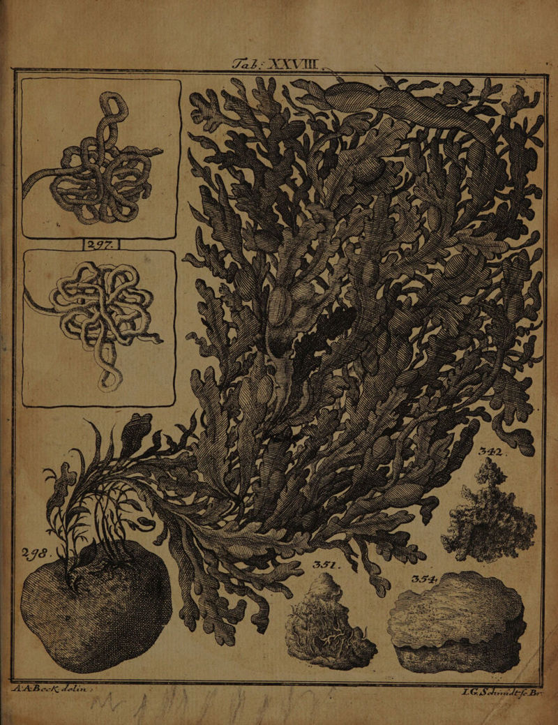 D), lilii e 4, PPP D T | i zz ZA QU ; En ; S Me ; | NONIS Ju 723 (i^ d P i | Te S NS xc ru ABT