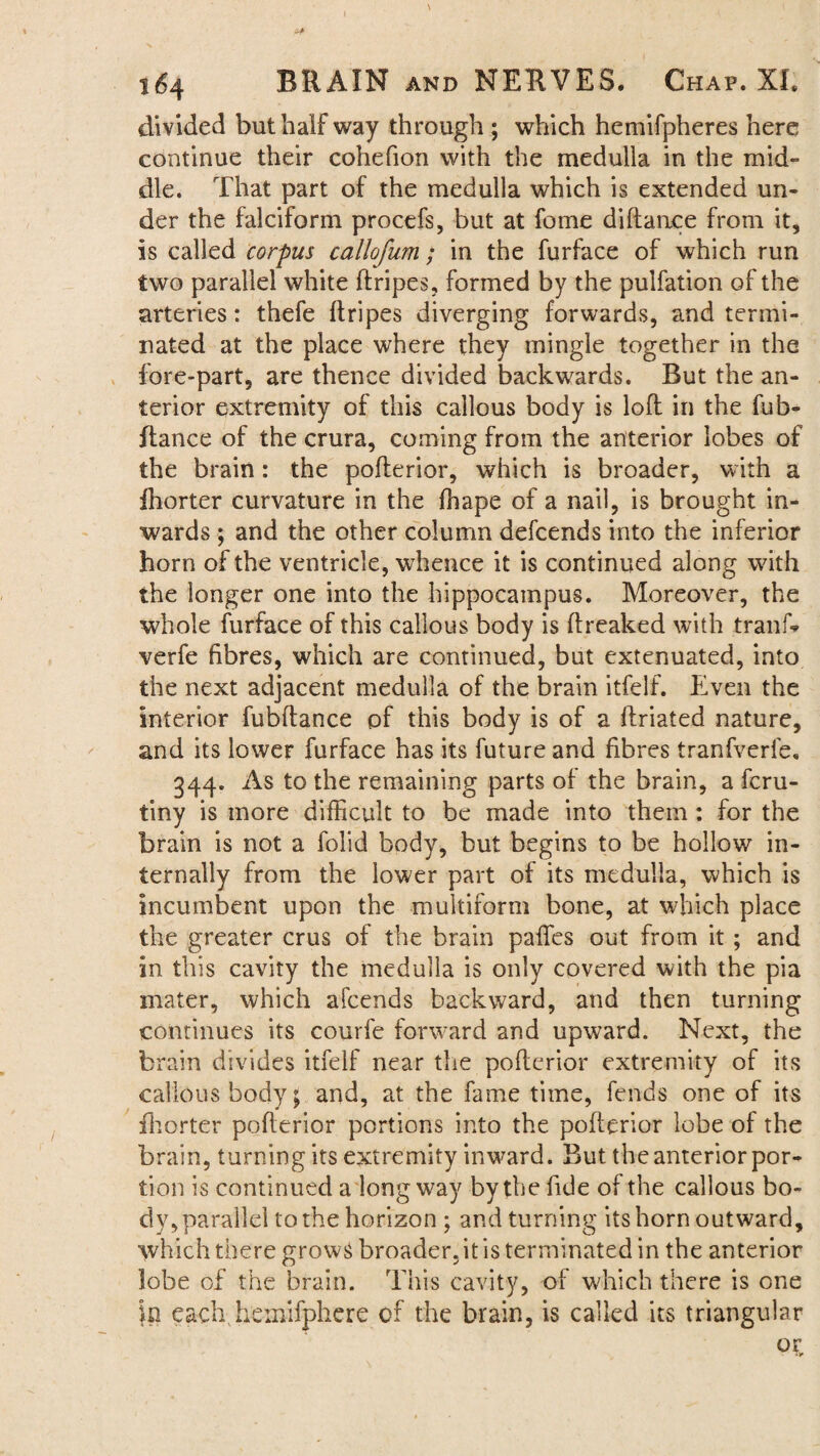 164 BRAIN and NERVES. Chap. XL divided but half way through ; which hemifpheres here continue their cohefion with the medulla in the mid¬ dle. That part of the medulla which is extended un¬ der the falciform procefs, but at fome diflance from it, is called corpus callofum; in the furface of which run two parallel white flripes, formed by the pulfation of the arteries: thefe flripes diverging forwards, and termi¬ nated at the place where they mingle together in the fore-part, are thence divided backwards. But the an¬ terior extremity of this callous body is loft in the fub- ftance of the crura, coming from the anterior lobes of the brain: the poflerior, which is broader, with a fhorter curvature in the fhape of a nail, is brought in¬ wards ; and the other column defcends into the inferior horn of the ventricle, whence it is continued along with the longer one into the hippocampus. Moreover, the whole furface of this callous body is (freaked with tranf* verfe fibres, which are continued, but extenuated, into the next adjacent medulla of the brain itfelf. Even the interior fubftance pf this body is of a ftriated nature, and its lower furface has its future and fibres tranfverfe. 344. As to the remaining parts of the brain, a fcru- tiny is more difficult to be made into them: for the brain is not a folid body, but begins to be hollow in¬ ternally from the lower part of its medulla, which is incumbent upon the multiform bone, at which place the greater crus of the brain paffies out from it ; and in this cavity the medulla is only covered with the pia mater, which afcends backward, and then turning continues its courfe forward and upward. Next, the brain divides itfelf near the poflerior extremity of its callous body; and, at the fame time, fends one of its fhorter poflerior portions into the poflerior lobe of the brain, turning its extremity inward. But the anterior por¬ tion is continued a long way by the fide of the callous bo¬ dy, parallel to the horizon ; and turning its horn outward, which there grows broader, it is terminated in the anterior lobe of the brain. This cavity, of which there is one in each hemifphere of the brain, is called its triangular or