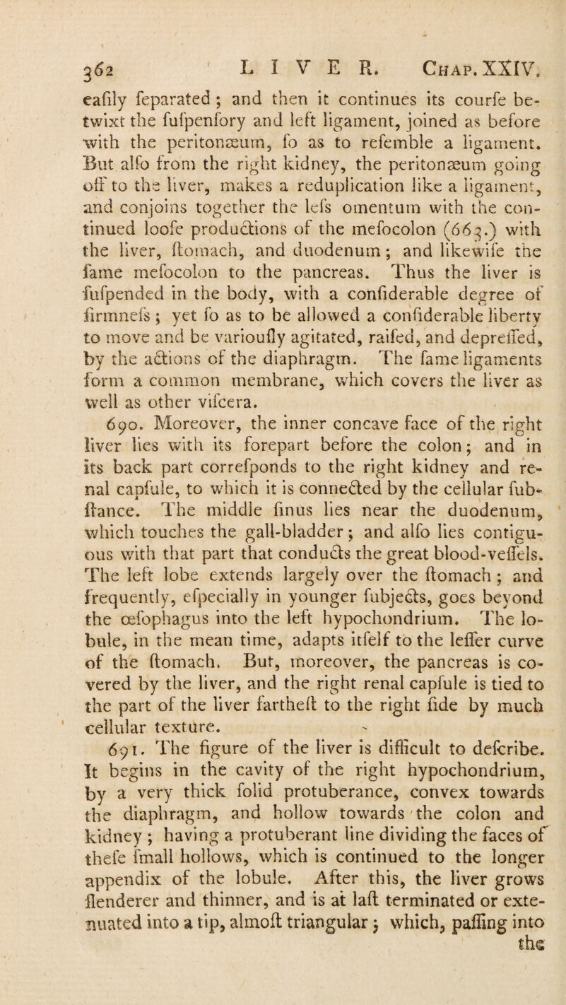 eafily feparated ; and then it continues its courfe be¬ twixt the fufpenfory and left ligament, joined as before with the peritonaeum, fo as to refemble a ligament. Rut alfo from the right kidney, the peritonaeum going off to the liver, makes a reduplication like a ligament, and conjoins together the lefs omentum with the con¬ tinued loofe productions of the mefocolon (663.) with the liver, fto.rnach, and duodenum; and like wife the fame mefocolon to the pancreas. Thus the liver is fufpended in the body, with a confiderable degree of firmnefs; yet fo as to be allowed a confiderable liberty to move and be varioufly agitated, raifed, and depreiTed, by the adtions of the diaphragm. The fame ligaments form a common membrane, which covers the liver as well as other vifcera. 690. Moreover, the inner concave face of the right liver lies with its forepart before the colon; and in Its back part correfponds to the right kidney and re¬ nal capfule, to which it is connected by the cellular fub~ fiance. The middle finus lies near the duodenum, which touches the gall-bladder; and alfo lies contigu¬ ous with that part that condu&s the great blood-veffels. The left lobe extends largely over the ftomach ; and frequently, efpecially in younger fubje&s, goes beyond the cefophagus into the left hypochondrium. The lo¬ bule, in the mean time, adapts itfelf to the leffer curve of the ftomach. But, moreover, the pancreas is co¬ vered by the liver, and the right renal capfule is tied to the part of the liver fartheft to the right fide by much cellular texture. 691. The figure of the liver is difficult to deferibe. It begins in the cavity of the right hypochondrium, by a very thick folid protuberance, convex towards the diaphragm, and hollow towards the colon and kidney ; having a protuberant line dividing the faces of thefe fmall hollows, which is continued to the longer appendix of the lobule. After this, the liver grows ilenderer and thinner, and is at laft terminated or exte¬ nuated into a tip, almoft triangular -7 which, palling into
