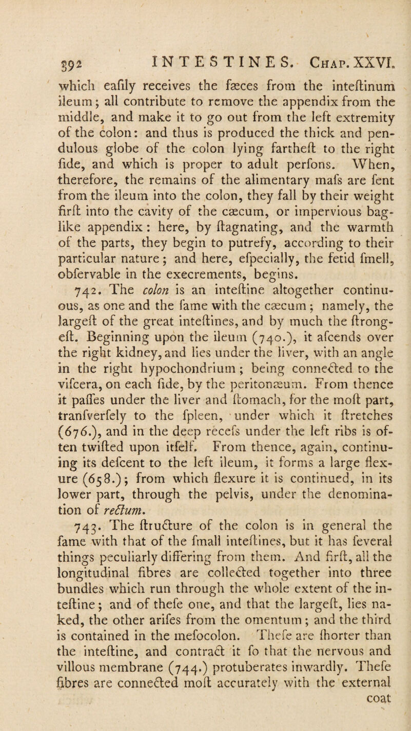 which eafily receives the fasces from the inteftinum ileum; all contribute to remove the appendix from the middle, and make it to go out from the left extremity of the colon: and thus is produced the thick and pen¬ dulous globe of the colon lying farthefl to the right fide, and which is proper to adult perfons. When, therefore, the remains of the alimentary mafs are fent from the ileum into the colon, they fall by their weight firffc into the cavity of the caecum, or impervious bag¬ like appendix: here, by ftagnating, and the warmth of the parts, they begin to putrefy, according to their particular nature; and here, efpecially, the fetid fmeli, obfervable in the execrements, begins. 742. The colon is an intefline altogether continu¬ ous, as one and the fame with the caecum ; namely, the largeft of the great inteftines, and by much the ftrong- efh Beginning upon the ileum (740.), it afcends over the right kidney, and lies under the liver, with an angle in the right hypochondrium ; being connected to the vifcera, on each fide, by the peritonaeum. From thence it paiTes under the liver and ftomach, for the moll part, tranfverfely to the fpleen, under which it flretches (676.), and in the deep recefs under the left ribs is of¬ ten twilled upon itfelf. From thence, again, continu¬ ing its defcent to the left ileum, it forms a large flex¬ ure (658.); from which flexure it is continued, in its lower part, through the pelvis, under the denomina¬ tion of redum. 745. The flru&ure of the colon is in general the fame with that of the frnali inteftines, but it has feveral things peculiarly differing from them. And firft, all the longitudinal fibres are collected together into three bundles which run through the whole extent of the in- telline; and of thefe one, and that the largeft, lies na¬ ked, the other arifes from the omentum ; and the third is contained in the mefocolon. Thefe are fhorter than the intefline, and contract it fo that the nervous and villous membrane (744.) protuberates inwardly. Thefe fibres are connected molt accurately with the external coat