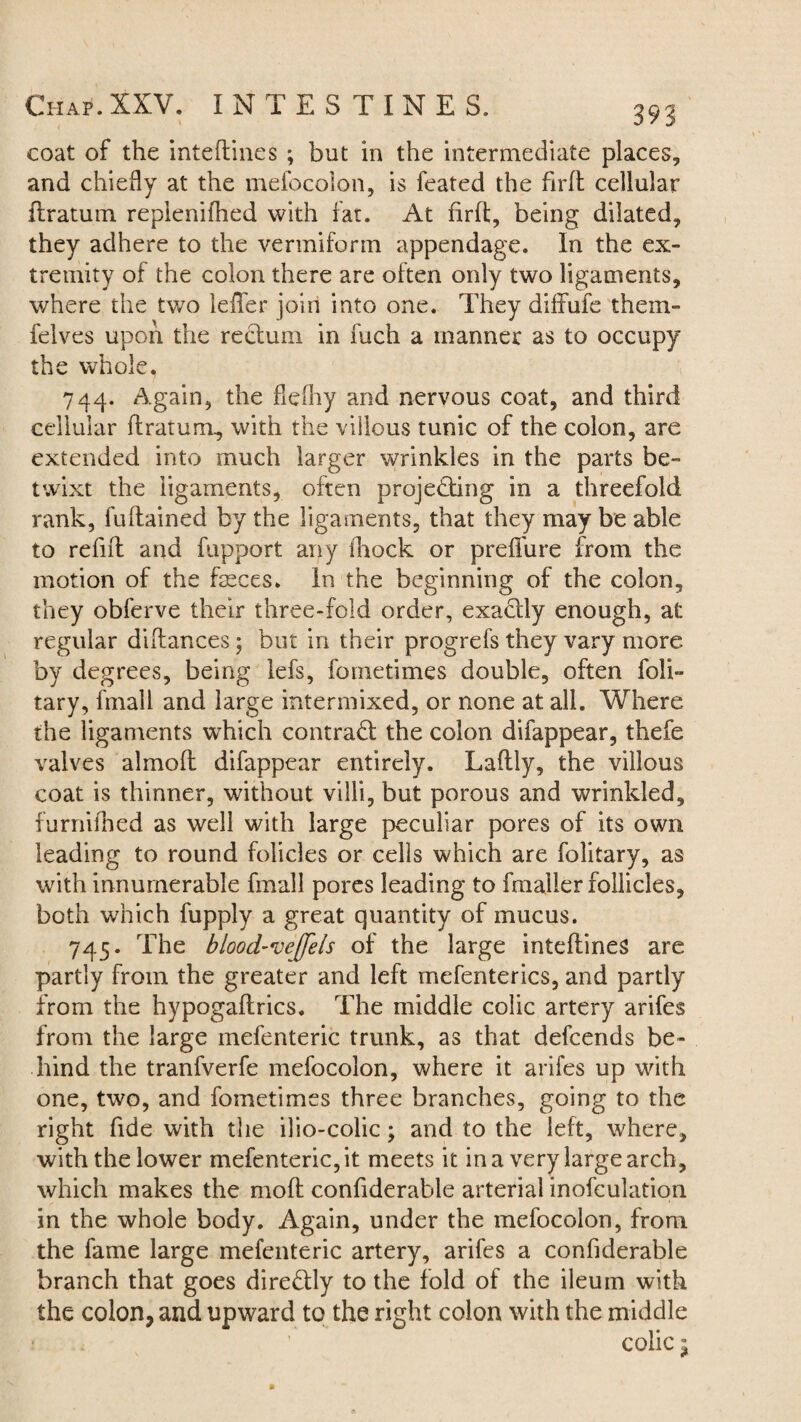 coat of the inteftines ; but in the intermediate places, and chiefly at the mefocolon, is feated the firft cellular flratum replenifhed with fat. At firfl, being dilated, they adhere to the vermiform appendage. In the ex¬ tremity of the colon there are often only two ligaments, where the two leffer join into one. They diffufe them- felves upon the retdum in fuch a manner as to occupy the whole, 744. Again, the flefhy and nervous coat, and third cellular flratum, with the villous tunic of the colon, are extended into much larger wrinkles in the parts be¬ twixt the ligaments, often projecting in a threefold rank, luflained by the ligaments, that they may be able to refill and fupport any fhock or preffure from the motion of the fseces. In the beginning of the colon, they obferve their three-fold order, exactly enough, at regular diftances; but in their progrefs they vary more by degrees, being lefs, fometimes double, often foli- tary, l'mall and large intermixed, or none at all. Where the ligaments which contract the colon difappear, thefe valves almoft difappear entirely. Laftly, the villous coat is thinner, without villi, but porous and wrinkled, furnifhed as well with large peculiar pores of its own leading to round folicles or cells which are folitary, as with innumerable fmall pores leading to fmaller follicles, both which fupply a great quantity of mucus. 745. The blood'Ve(fels of the large inteftines are partly from the greater and left mefenterics, and partly from the hypogaftrics. The middle colic artery arifes from the large mefenteric trunk, as that defcends be¬ hind the tranfverfe mefocolon, where it arifes up with one, two, and fometimes three branches, going to the right fide with the ilio-colic; and to the left, where, with the lower mefenteric, it meets it in a very large arch, which makes the moll confiderable arterial inofeulation in the whole body. Again, under the mefocolon, from the fame large mefenteric artery, arifes a confiderable branch that goes diredly to the fold of the ileum with the colon, and upward to the right colon with the middle < ' colic 8 ^