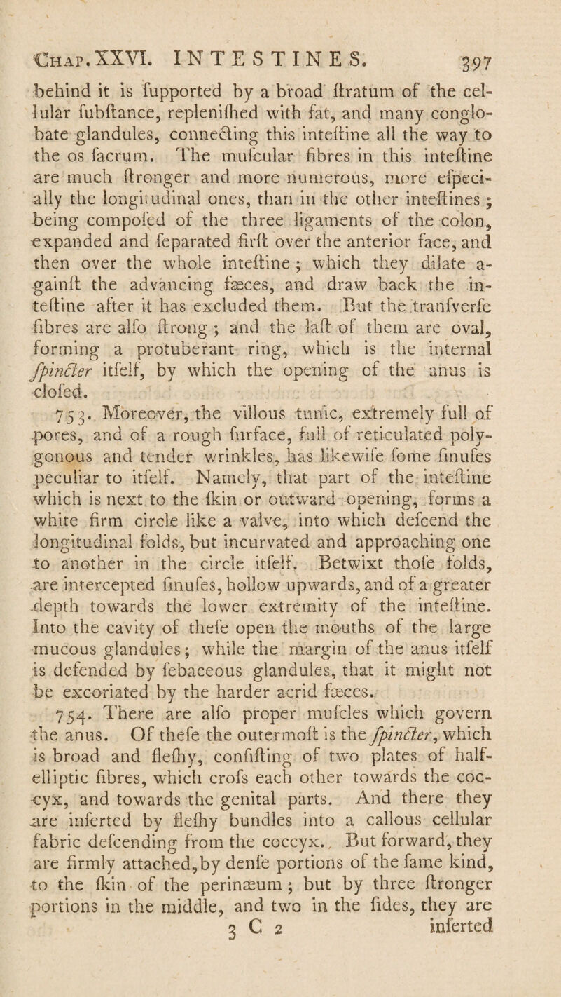 behind it is fupported by a broad ftratum of the cel¬ lular fubftance, replenished with fat, and many conglo¬ bate glandules, connecling this inteftine all the way to the os facrum. The mufcular fibres in this inteftine are much ftronger and more numerous, more efpeci- ally the longitudinal ones, than in the other intcftines ; being compofed of the three ligaments of the colon, expanded and feparated firft over the anterior face, and then over the whole inteftine ; which they dilate a- gainft the advancing faeces, and draw back the in¬ teftine after it has excluded them. But the tranfverfe fibres are alfo ftrong ; and the laft of them are oval, forming a protuberant ring, which is the internal fpincler itfelf, by which the opening of the anus is clofed. 75 >. Moreover, the villous tunic, extremely full of pores, and of a rough furface, full of reticulated poly- gonous and tender wrinkles, has likewife feme finufes peculiar to itfelf. Namely, that part of the inteftine which is next to the fkin or outward opening, forms a white firm circle like a valve, into which defcend the longitudinal folds, but incurvated and approaching one to another in the circle itfelf. Betwixt thofe folds, are intercepted finufes, hollow upwards, and of a greater depth towards the lower extremity of the inteftine. Into the cavity of thefe open the mouths of the large mucous glandules; while the margin of the anus itfelf is defended by febaceous glandules, that it might not be excoriated by the harder acrid feces. 754. There are alfo proper mufcles which govern the anus. Of thefe the outermoft is the fpinfier, which is broad and flefhy, confiding of two plates of half- elliptic fibres, which crofs each other towards the coc¬ cyx, and towards the genital parts. And there they are inferted by flefhy bundles into a callous cellular fabric descending from the coccyx., But forward, they are firmly attached,by denfe portions of the fame kind, to the fkin of the perinmum; but by three ftronger portions in the middle, and two in the fides, they are 3 G 2 inferted