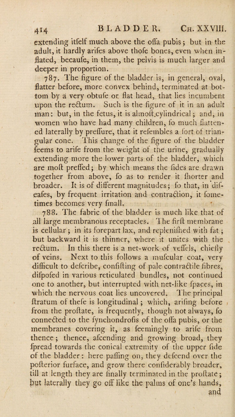 BLADDER. Ch. XXV1IL extending itfelf much above the offa pubis; but in the adult, it hardly arifes above thole bones, even when in¬ flated, becaufe, in them, the pelvis is much larger and deeper in proportion. 787. The figure of the bladder is, in general, oval, flatter before, more convex behind, terminated at bot¬ tom by a very obtufe or flat head, that lies incumbent upon the redtum. Such is the figure of it in an adult man: but, in the fetus, it is almoft.cylindrical; and, in women who have had many children, fo much flatten¬ ed laterally by preffure, that it refembles a fort of trian¬ gular cone. This change of the figure of the bladder feems to arife from the weight of the urine, gradually extending more the lower parts of the bladder, which are moll preffed; by which means the Tides are drawn together from above, fo as to render it fhorter and broader. It is of different magnitudes; fo that, in dif- eafes, by frequent irritation and contraftion, it fome- times becomes very fmall, 788. The fabric of the bladder is much like that of all large membranous receptacles. The fir ft membrane is cellular ; in its forepart lax, and replenifhed with fat; but backward it is thinner, where it unites with the redtum. In this there is a net-work of veflels, chiefly of veins. Next to this follows a mufcular coat, very difficult to defcribe, confiding of pale contractile fibres, difpofed in various reticulated bundles, not continued one to another, but interrupted with net-like fpaces, in which the nervous coat lies uncovered. The principal ftratum of thefe is longitudinal; which, arifing before from the proftate, is frequently, though not always, fo connedted to the fynchondrofis of the offa pubis, or the membranes covering it, as feemingly to arife from thence; thence, afcending and growing broad, they fpread towards the conical extremity of the upper fide of the bladder: here palling on, they defcend over the pofterior furface, and grow there confiderably broader, till at length they are finally terminated in the proftate; but laterally they go off like the palms of one’s hands.