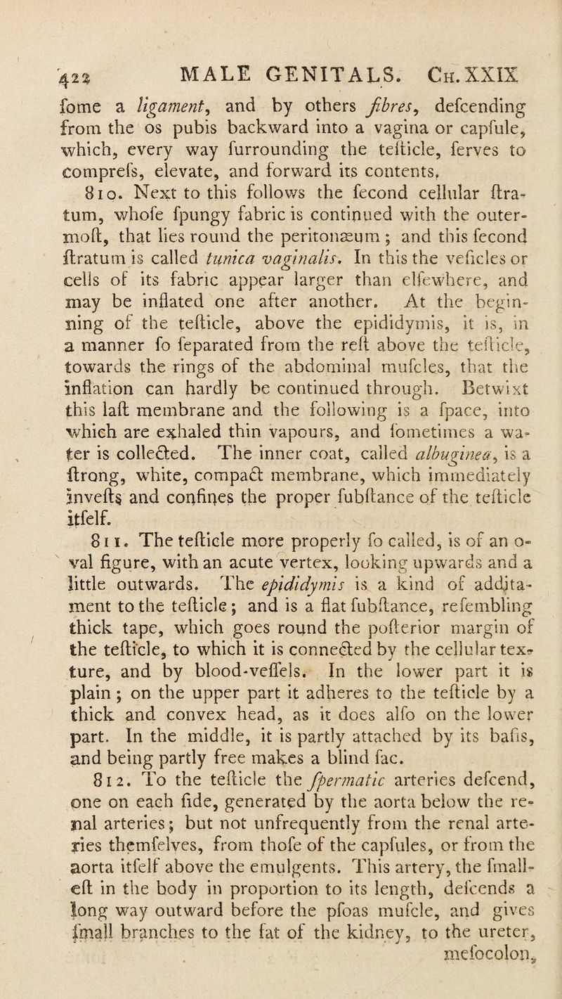 fome a ligament, and by others fibres, defcending from the os pubis backward into a vagina or capfule, which, every way furrounding the tefticle, ferves to comprefs, elevate, and forward its contents, 8 io. Next to this follows the fecond cellular ftra- turn, whofe fpungy fabric is continued with the outer- xnoft, that lies round the peritonaeum ; and this fecond flratum is called tunica vaginalis. In this the vehicles or cells of its fabric appear larger than elfewhere, and may be inflated one after another. At the begin¬ ning of the tefticle, above the epididymis, it is, in a manner fo feparated from the reft above the tefticle, towards the rings of the abdominal mufcles, that the inflation can hardly be continued through. Betwixt this laft membrane and the following is a fpace, into which are exhaled thin vapours, and fometimes a wa¬ ter is collected. The inner coat, called albuginea, is a flrong, white, compadt membrane, which immediately inverts and confipes the proper fubftance of the teflicle itfelf. Si!. The teflicle more properly fo called, is of an o« val figure, with an acute vertex, looking upwards and a little outwards. The epididymis is a kind of addita- ment to the tefticle; and is a flat fubftance, refembling thick tape, which goes round the pofterior margin of the tefticle, to which it is connedled by the cellular tex¬ ture, and by blood-veflels. In the lower part it is plain ; on the upper part it adheres to the tefticle by a thick and convex head, as it does alfo on the lower part. In the middle, it is partly attached by its balls, and being partly free makes a blind fac. 812. To the tefticle the fipermatic arteries defeend, one on each fide, generated by the aorta below the re¬ nal arteries; but not unfrequenlly from the renal arte¬ ries themfelves, from thofe of the capfules, or from the aorta itfelf above the emulgents. This artery, the final! - eft in the body in proportion to its length, deicends a long way outward before the pfoas mufcle, and gives imaU branches to the fat of the kidney, to the ureter, xndbcolon*
