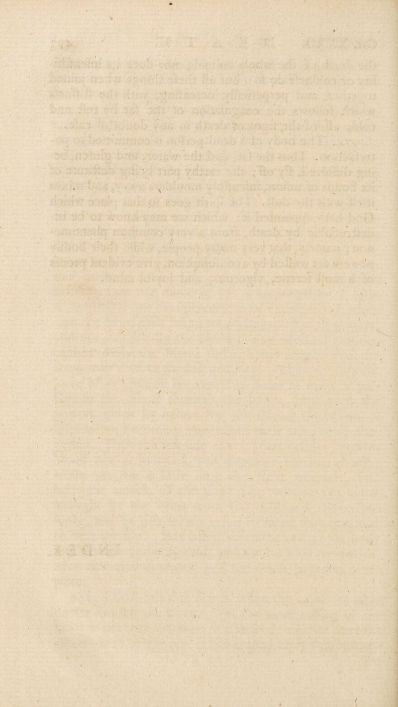 . „ . . i . \ • ■ ; t 4- , \ * • . - , i * .■ V' • ' * ■ ■ X