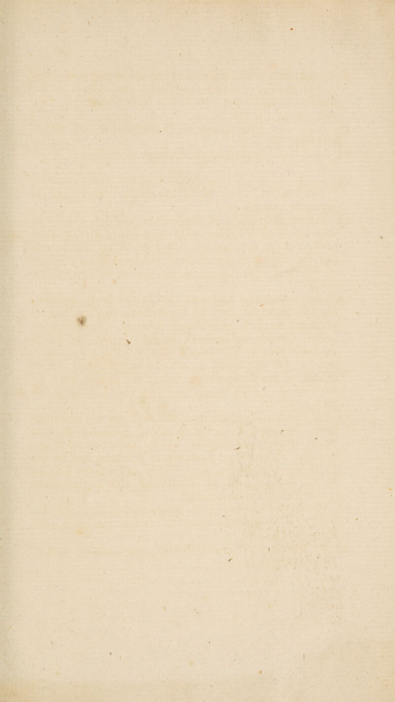 \ < \ K \ \ i \ % l ✓ I