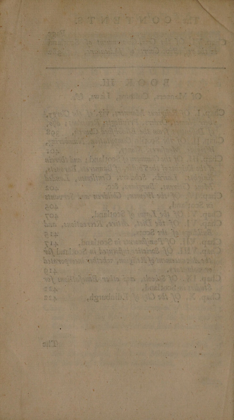 ak aS ite oF les 7 A eS N aE 0m i ; oe ; 4 Sees nets G rake ie mie nihil Dime wig Ng ea * al tere a Pid a) = ABHsGs brs ih Ft antic ast cr Pra Ray s ao ais ‘sat Nath. ; - b age 4 ke ah ea eae Sy aventay. tk ae; ae ie . a 4 7 » hl » * i ehh Ad rst weeks eh Gut o Me ook txt * iy 7E°&lt; i yes. ae Dott coer As ah Bs Wis! ‘ DRS PTR LP $8 ites eR: Th * et oh wig hy abt 0 eG. os aN 3 irs eal Yad Rett wes {O a ah etiiiy FR) Be ik il Maclin ae: di Pola Mte ee i eCe' wh aay ae: &gt; seh all ke =: eT ql | uf =e ‘gs Baeligod ‘Ks 3 rs a \ ie Ah NOY ey i ey: ‘ee oS +94 “ aey) STs ih Be AM as sedges