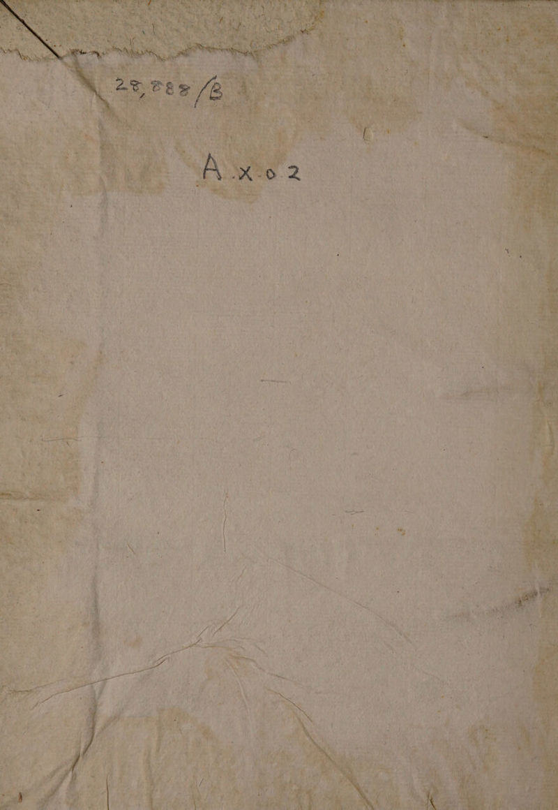 LOIN viret er has Wa SV