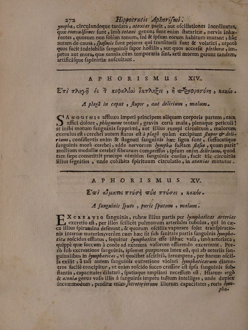 autem de causà., /pafmis funt pejores qui tranfitorii funt & volatici , utpotè quos facit indelebilis fanguinis fapor hoftilis , aut quos accerfit plethora ;im- „petus aut mora, qua omnia.cüm temporaria fint; arti morem gerunt tandem, artificifque fapientia aufcultant.. ! RUEDA ee A BHO BHO S MAMAS Si M qm ^ es 5, SY É 17) ( j A : i E) ranh £s geparlw fxTNuEG s i qJpepporir»m s KALDI + A plagà in caput , flupor , aut delirium , malum. S AwGuüuINrs affluxu impeti principem aliquam corporis partem eam affici dolore , phlegmone tentari , gravia certe mala, plenaque periculi t at inibi motum fanguinis fupprimi, aut illius rumpi circuitum , malorum. mollium medullæ-cerebri fibrarum.compreffus ; ipfum enim delirium, quod tam fepe committit preceps nimiüm fanguinis curfus, facit híc circuitüs ilius fegnities ; unde cohibita fpirituum circulatio , in azaxias mutatur . APHORISM US XV. E M 9 4 [4 d , TÀ AMENS TTUCd TUY TTUCIS » XuXÓV» A fauguinis fputo , puris fputums » malum. E XcRrEATIO fanguinis, rubre illius partis per lymphaticas arterias excretio eft , per illos fcilicét pulmonum arteriales tubulos , qui in cæ- ca illius fpiramina definunt ,.& quorum ofcillis vaporare folet tranfpiratio- nis interne snateries;verüm cum hæc fit fub fanitate partis fanguinis /ymzpha- tice rofcidus efflatus , fequitur Zymphatica effe ifthec vafa , imb arteriaca , quippé qua fuccum à corde ad extrema vaforum efferendo excernunt. Por- Tò fub excreatione fanguinis, ipfemet purpureus latex eft, qui ab arteriis fan- guinalibus in xi MERE vi qualibet afcititi3) irrumpens , per harum ofcil- la exilit ;à tali autem fanguinis excretione violari Jywzpbazicarums diame- tros facilé concipitur , ut enim rofcido fucco craffior eft ipfa fanguinis fube ftantia » capacitates dilatari., fpatiaque ampliari neceffum eft. Hiatum ergà & aioniæ genus vafis illis à fanguinis impetu fatum intelliges , unde a incommodum , perdite enim /écre£oriorupa illorum capacitates s x - pou