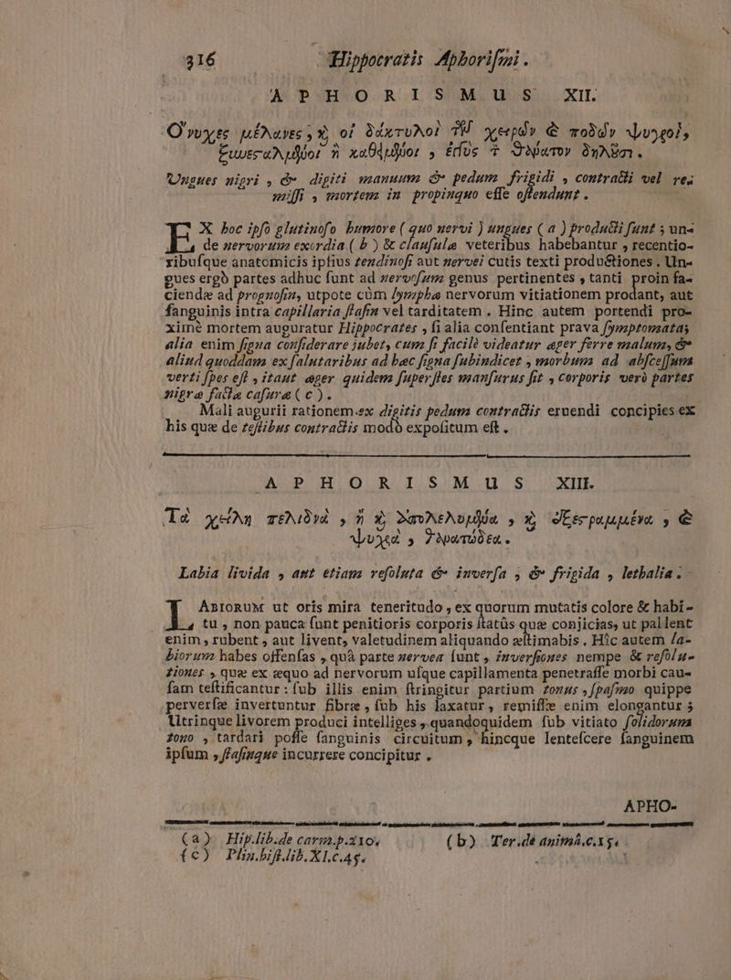 I EALO R -L SAM Uab XI. XO vy MENZIES 3 Y) 0! Bx TUAO! TH xapi e moddiy xLv5401 , EuvecaNplóor n x«Ddpjior , éus è Quam» DÓyNER. Ungues nigri , & digiti manuum e pedum frigidi , coutra&li vel res mifi , mortem im propinguo effe offendunt . W X boc ipfo glutinofo bumore( dh nervi ) ungues ( a ) produci funt ; uns E de zervorum exordia ( b ) & claufule veteribus habebantur , recentio- xibufque anatomicis ipfius zezdinof aut mervei cutis texti produ&tiones . Un- gues ergb partes adhuc funt ad zervofz5z genus pertinentes , tanti. proin fa- Ciendæ ad progzofiz, utpote cùm /yrpba nervorum vitiationem prodant, aut fanguinis intra capillaria fiafin vel tarditatem . Hinc autem portendi pro- ximné mortem auguratur Hippocrates , fi alia confentiant prava [ymaptouzatas alia enim figna coufiderare jubet, cum fi faciló videatur ager ferre malun, & Aliud quoddam ex f[alutaribus ad bac figna fubindicet , morbum ad abfce[[ura verti [pes efl , itaut eger quidem fuper fles manfurus fit , Corporis vero partes nigre facla cafura (c). Mali augurii rationem.ex digitis pedum contraclis eruendi concipies ex his que de zeflibus coutraclis mod expolitum eft . AOP H OLR ISIM D S. XII Ta yrn TEMIA y h x, 2umoNeNUpyMa s Xy Mispauuén s È Abunad s ZopaTu0tn. Labia livida , ant etiam vefoluta & inverfa j & frigida , letbalia.- pM AsroRuM ut oris mira teneritudo , ex quorum mutatis colore & habi = tu , non pauca funt penitioris corporis ítatüs que conjicias, ut pallent enim , rubent, aut livent, valetudinem aliquando æftimabis . Hic autem la- biorum habes offenfas „quà parte zervea lunt , Zzverfiuzes nempe & reflue Zi0Hé$ » qu& ex aequo ad nervorum ufque capillamenta penetraffe morbi cau- fam teftificantur:íub illis enim ftringitur partium zonus ,fpafmo quippe perverfe invertuntur fibre , fub his laxatur, remiffe enim elongantur 5 Utrinque livorem produci intelliges quandoquidem fub vitiato fi Mie ono , tardari poffe fanguinis circuitum , hincque lentefcere fanguinem ipfum ,fafinque incurrere concipitur . APHO- (a) Hip.lib.de carm.p.z1os (b). Ter.dé auitmid.c.xg. (c) Phaubif. lib. Klegg. : i.