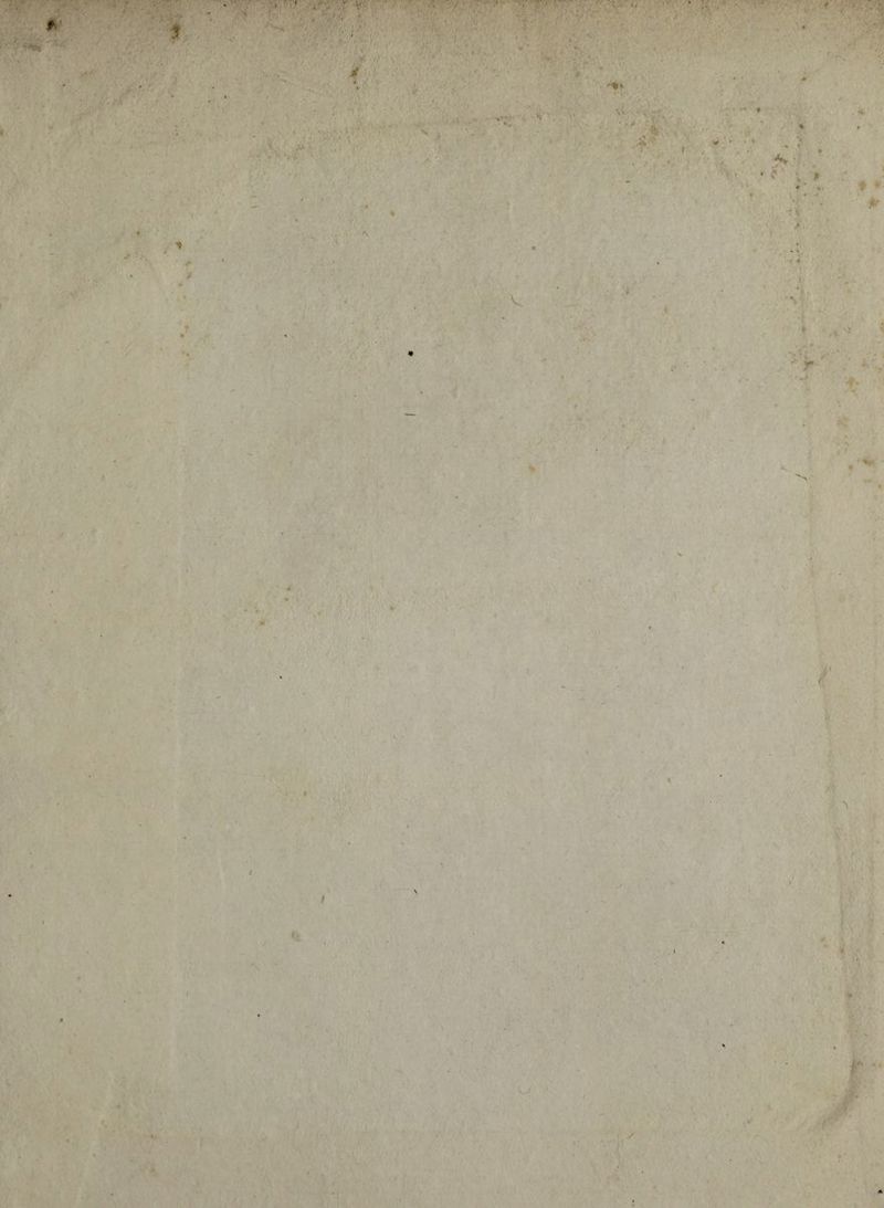 < ,V; Jf u ' « 7 , v  • ; \ A* • I - ’ ... . ** ' i- ’V . * ... ■ * t • t ■. # • ■< r>* .• ft y; * v ♦ \ 4 * ,v ♦ ♦ A' y - i' -v ' • r •f. w v • /■ i.A