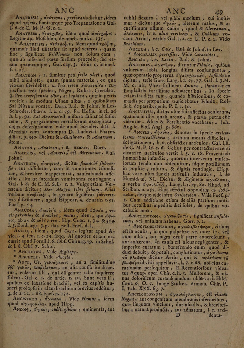 e I^ LANG C ANATRISE , Vyx7g;fx , idem quod avenues . j * ANATRIPSIS , &amp;vérgnis , idem quod zeídus , quamvis illud u(itatius fit apud veteres ; quam hoc , fignificat Friconem non, folum eam ; quz ab inferiori parte furfum. procedit ; fed et- iam quamcunque , Gal.cap.3. deiis q. in med. £x,393. 18 i ^ xdd — ANATRON 5 I. fumitur pro felle vitri ; quod nihil aliud eft; quam fpuma materi , ex qua vitrum fieri debet. 2. Pro terra Saracenica » cu- jusfunt tres fpecies, Nigra, Rubra , Corulea . 3. Pro exerefcentia alba , ac lapidea » quz in petris crefcit , in modum Ufnez albe , a quibuídam Sal Nitrum vocata. Dorn. Rul. &amp; Johnf. in Lex. h.1, p. 92. $44 J4natron' eft miltura falina ad fufio- nem , &amp; purgationem metallorum excogitata ; cujus defcriptionem vide apud Scroder. dict. l. Meminit cum contemptu D. Ludovici. Pharm. diff. 1, p. 440. Dicitur &amp; /£naibvon ; &amp; L£narrum , Item. Mr £ | ANATON , v£natvron 4 1.0, Beurac. Dorn. ANArTRIS, vel ontavis s eft. Mercurius. Rul. Johnt. J Lm | 'O AÁNATROPE, c»xzpoz, dicitur ffomachi fubver- fio; aut diffolutio , cum in vomitiones cftundi- tur , &amp; breviter inappetentia, naufeabunda affe- Gal. 1. 8. deC, M. S.L. c. 1. Vulgoetiam Ver- nacula dicitur: Dev Magen tebrr fichum .. Aljas verbum &amp;vx$ém4, , in genere fignificat fabverte- Foef, p. $4. A ANAUDIA y err ; idem quod eux , vo- cis pr?vatios &amp; d'yuubos , motus , idem , qui àdo- l, 5. Epid. gr. 3.p. flat. peft; Foef. d. 1, * ANCHILOPS . Vide ZEgilops. * ANcHyrr. Vide Ancyle. vÍÀ yxha», muflelarum , an alia cauffa ita dican- tur; viderint illi , qui diligenter talia inquirere folent. Gal.c. 1. de artic. t. 10. Sunt vero ii , ineri prolapfu in alam brachium brevius redditur 3.de artic, t. 88, Foef.p. 132. - | , ANCISTRON , W4»xspo» . Vide Eamus , idem quod x'yxpouxuN , apud Hipp. à : ANCON ; €*xg15 cubiti gibbus eminentia, aut ANC 49 mur : diciturque &amp;€yzày , alterum majus, &amp; a- cutiffimum oflium cubiti , quod &amp; Olecrznon , oAÉxpxyor , hr e. ulne veriicem , &amp; Cublium vo- cant Attici, verbis Gal. 1. 2. de U, P, c. 2. Vide Brachium . D We : Awucon4, i.e. Ca/x. Rul. &amp; Johnf. in Lex. * AwcoRALIS procef[fus. Vide Coracoides .. AwcosA , i.e, Lace. Rul. &amp; Johnf. ANCTERES ; X yr*,s ; dicuntur Fibules quibus quz operatio propterea «y»zgixcgos , Infibulaiio dicitur ; tefte Gorr. Lang.l. 1. ep. 77. Gal. 1. 3.M. M. c. ult, Vices fuftinent $wnre , Parantur ex etiam ita di&amp;a fuit, quando hiftrrionibus, &amp; co- toedis per preputium .trajiciebatur Fibula. Rol- fiük. departib, genit. P. L c. $0... —  ANCUBITUS; di&amp;us olim fuit affe&amp;us oculorum, quandoin illis quafi arene , &amp; parva petrzeffe videntur. Alias &amp; Petrificatio vocabatur » Joh. Anglic. Rof, Angl. p. 860; ^ * ÁNCYLE , X xA», denotat in fpecie ariicti« lovwm. conivatlionem ;. artuum motus difficiles , &amp; ligationem , h. e, obfiri&amp;os articulos , Gal. 1,8. de C. M. P. G. c. 6. Celfus per contra&amp;os recenti cicatrice articulos vertit l, 5. c. 18. Provenitab humoribus infar&amp;is , quorum interventu mufcu- lorum tendo non obfequitur , idque potiffimum in poplite ; cubito, &amp; digitis contineit, Hipp. hac voce ufus junxit articulis induratis , 1, de Humid.uf. XI. Dicitur &amp; ZEginetm «yxNons, a verbo X«yxvAgoX , Lang.l.1. ep. 82. Rhod. ad 30h» , de quo videinfra Ortbotolon .. Vide Eoef. p» cabulis: mox » uou us D ANcvrrIDOTON , oyxoN eT? , fignificat anfula- ium»; vel anfulam habens, Gorr. p. 2. ^ P4 * AÁNCYLOBLEPHARON 5 &amp;yxJAoBA£ Qxeov , vitium cum alba , aut nigra oculi parte concrefcunt , aut cohzrent, In caufa eft ulcus negligenter , &amp; imperite curatum :; duci debuit ; &amp; potuit , conglutinatur , 4 yxJAwee 78 BNebeos dicitur Aetio ; qui &amp; weécQuow 7z rationem perfequitur . E Recentioribus videa- tur Aquap. oper. Chir. c, h. t, Meliorem, &amp; mi- nus dolorificum curandi modum obfervavit Hild.' I. Tab. XXX. fig. 79 EN lingue auc congenitum membraais inferioribus , busa natura produdiis ; aut adnatum , i. e. acci- denta- 4m