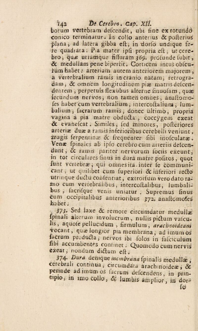 'Dff, Cerebra . Cap. XII. borum vertebram defcendit, ubi tine ex rotuncid bro, quas inr&oique Hilaram 169. profunde fubit , Sc medullam pene bipertit. Corticem intus obfcu- ftsm BaBet .* arteriam autem anteriorem majorem 9 a vertebralium ramis in cranio natam, retrogra¬ dam, & omnem longitudinem pise matrisdefcen- dentem , perpetuis fiestibus alterne finuofam , quae fecundum nervos, non tamen omnes , ariaftomo- fes habercum vertebralium 5 intercoflaliuni, lum¬ balium 3 facrafum ramis, donec ultimb, propria vagina a pia matre obdudta , coccygem exeat & evabefcat; Similes, fed minores, poflefiores arterias duae a ramis inferioribus cerebelli veniunt, magis ferpeminae & frequenter fiBi iriofculats <> Vcn« (pinales ab ipfo cerebro cum arteriis de(cen- dunt, <k ramis pariter nervorum fociis exeunt, in tot circularesIinus in dura matre politos, quot funt vertebra?, qui omnes ita. inter fe communi¬ cant, ut quilibet cum fuperiori & inferiori redo utrmque dudii eoniennat, extrorfiim vero dato ra¬ mo cum vertebralibus, intercolialibus, lumbali¬ bus , facrifque venis uniatur 9 Supremus iinus cum occipitalibus anterioribus 172» anaftomoies Habet 1 37$. Sed laxe & remote circumdatur medullae fpinali auerurn involucrum, nullis pidum valcu- lis , aquoie pellucidum , fi r rivulum , arachnoideam vocant, quae longior pia membrana, adimumos facrum preduCta, nervos ibi lolos in faicicuium fibi accumoentPs continet» Quomodo cuin nervis exeat, nondum duftum efts 374‘ Burd denique membrana fpioalis medullae s cerebrali continua, circumdata arachinoidea?, 6c perinde adimumos facrum defcendens, in prin¬ cipio^ in imo collo, di. lumbis amplior, iii dor^ conico terminatur* Io collo antenus & pollenus pfiina, ad latera gibba eil, in xlorfd undique fe¬ re quadrata» Pia mater i pii propria eft, ut ce re-