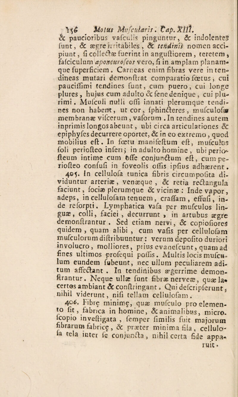 hc paucioribus vafculis pinguntur, & Indolentef funt, Sc aegre irritabiles , & teftdinii no oie n acci¬ piunt, ii colledae fuerint in anguftiorem, teretem » fafctcukiniWpoM«rts/W vero, fi in amplam planam- que fuperfidem * Carneas enim fibras vere inten- dineas mutari demonftrat comparatio foetus, cui pauciffimi tendines funt, cum puero, cui longe plures , hujus cum adulto Sc fenedenique, cui plu¬ rimi. Mufcuii nu!ii offi innati plerumque tendi¬ nes non habent, ut cor, fphinderes, tnufculof» membraose vifcerum , vaforum .In tendines autem inprimis longos abeunt, ubi circa articulationes & epiphyfes decurrere oportet, & in eo extremo, quod mobilius eft. In fetu mamfeftum eft, mufculos foli periofleo inferi j in adulto homine , ubi perio fteurn intime cum fcffe conjun&um eft, cum pe¬ riofleo confufi in foveolis offis ipfius adhaerent. 405. In cellulofa tunica fibris circumpofita di¬ viduntur arteria, venasque , Sc retia redangula faciunt, foci® plerumque Sc vicinae: Inde vapor, adeps, in cellulofam tenuern, craffam, effufi, in¬ de reforpti. Lymphatica vafa per mufculos lin¬ guae, colli, faciei , decurrunt a in artubus segre demonftrantur . Sed etiam nervi, & copiofioreg quidem , quam alibi , cum vafis per cellulofam mufculorum diftribuuntur: verum depofito duriori involucro, molliores, prius evaoefcunt, quam ad fines ultimos profequi poffis. Multis locis mufcu- lum eundem fubeunt, nec ullum peculiarem adi¬ tum affedfant . In tendinibus srgerrsme denion- ftrantur. Neque ullae funt fibrae nerve^, qusela* certos ambiant Sc cpnftringant * Qui defcripferunt 3 nihil viderunt, nifi tellam cellulofam. 40^. Fibre minim£, quas mufculo pro elemen¬ to fit, fabrica in homine, & animalibus, micro. icopio inveftigata , fernper fimilis fuit majorum fibrarum fabricf, & praster minima fila, cellulo¬ fa tela inter fe conjunffa, nihil certa fide appa«