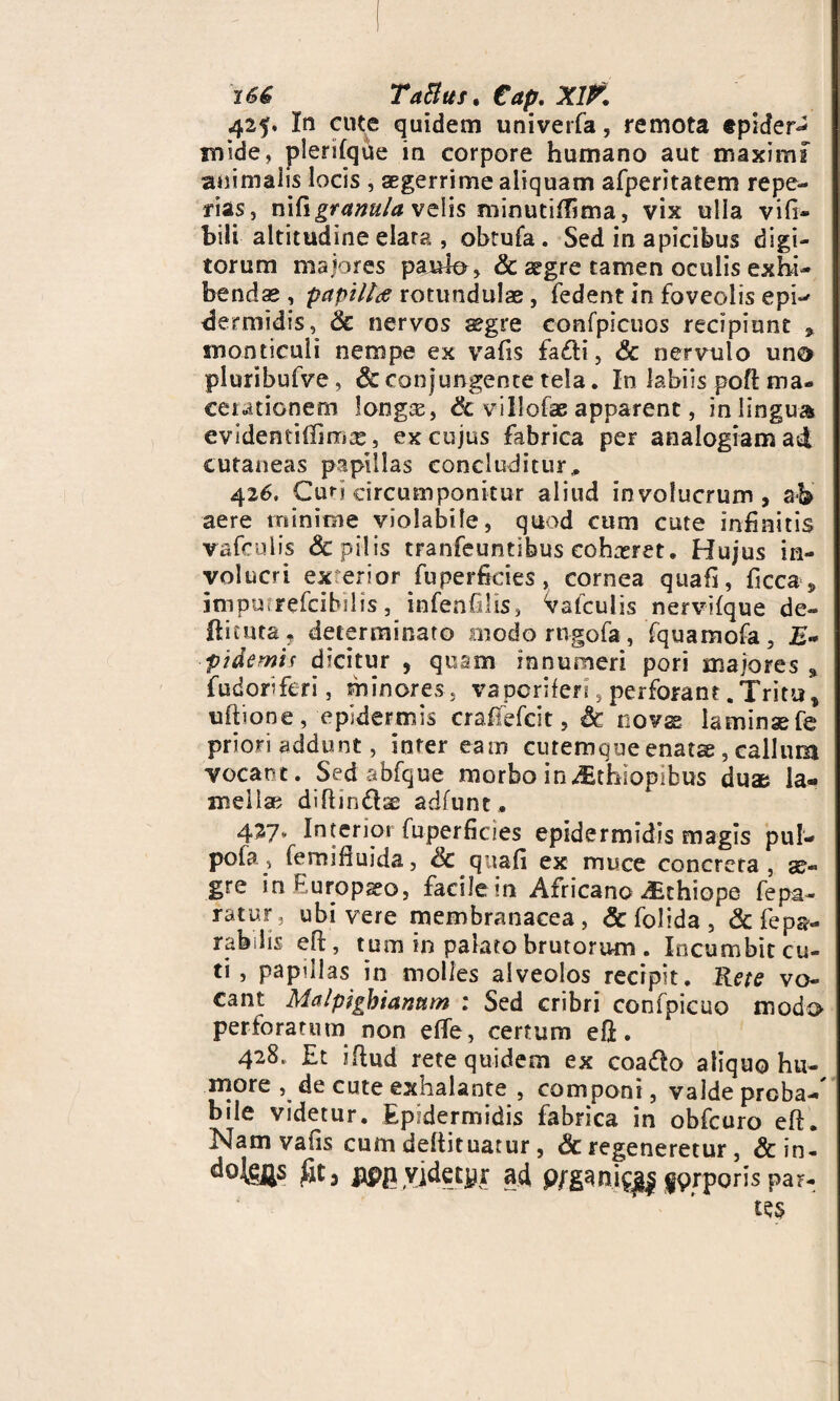 166 TaBus. €ap. Xlfc 42$. In cute quidem univerfa, remota epider^ loide, plerifque in corpore humano aut maximi ammaiis locis , aegerrime aliquam afperitatem repe- rias, n\{\granula velis minutiffima, vix ulla vifi- bili altitudine elata , obtufa. Sed in apicibus digi¬ torum majores paulo , & segre tamen oculis exhi¬ bendae , papilla rotundulae , fedent in foveolis epb' dermidis, Sc nervos aegre confpicuos recipiunt , snonticuli nempe ex vafis fadti, Sc nervulo uno pluribufve, Sc conjungente tela. In labiis pofi: ma¬ cerationem longse, Sc villofae apparent, in lingua evidentifiiiTige, ex cujus fabrica per analogiam ad cutaneas papillas concluditur,. 426. Cun circumponitur aliud involucrum, ab aere minime violabile, quod cum cute infinitis vafculis & pilis tranfeuntibus cohaeret. Hujus in¬ volucri exrerior fu perficies, cornea quafi, ficca , jmpmrefcibilis, infenfilis, Vafculis nervifque de» flicuta j determinato modo rugofa, fquamofa. E* pidemis dicitur , quam innumeri pori majores , fudorferi, minores , vaporiferi, perforant .Tritu* uftione, epidermis craflefcit, Sc novse laminaefe priori addunt, inter eam cutemqueenatae, callum vocant. Sed abfque morbo in Aithiopibus duae la¬ mella? diflin&se adfunt. 427- Interior fuperficies epidermidis magis pul- pola > femi iiuida, $c quafi ex muce concreta, g> gre in Europaeo, facile in Africano ^Ethiope fepa¬ ratur, ubi vere membranacea, &folida, <3c fepa- rabiis e fi, tum in palato brutorum . Incumbit cu¬ ti, papulas in molies alveolos recipit. Rete vo¬ cant Malpjghianum : Sed cribri confpicuo modo perforatum non effe, certum efi:. 428, Et iftud rete quidem ex coado aliquo hu¬ more , de cute exhalante , componi, valde proba-' bile videtur. Epidermidis fabrica in obfcuro eft. Nam vafis cum deftituatur, Sc regeneretur, &in- dojggs fit, jippyjdetyr ad gprporis pa?- t5$