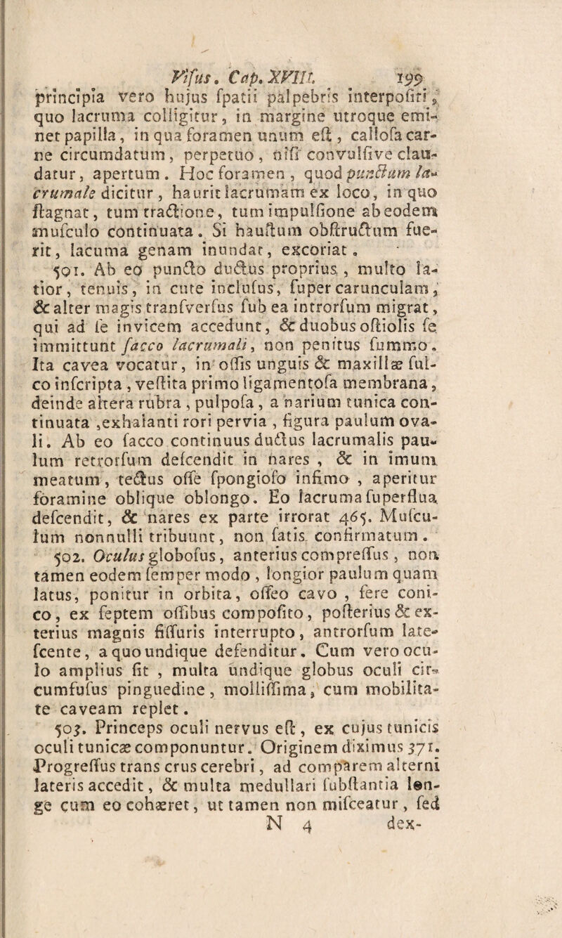 K[us. Cap. XVHt ^ ^ principia vero hujus fpatii palpebris interpofiri > quo lacruma colligitur, ia margine utroque emi¬ net papilla, in-qua foramen unum e(l, callofa car¬ ne circumdatum, perpetuo, aifi convulfive clau¬ datur, apertum. Hoc foramen, quod purMam la~ Crumak dicitur , haurit lacrumam ex loco, in quo ftagnat, tum tractione, tum impuifione ab eodem snufculo continuata. Si bauftum obffrudhim fue¬ rit, lacuma genam inundat, excoriat. 501. Ab eo punflo dudius proprius , multo la¬ tior, tenuis, in cute inclufus, fupercarunculam, & alter magis tranfverfus fub ea introrfum migrat, qui ad fe invicem accedunt, & duobus oftiolis fe. immittunt /aceo lacrumali, non penitus fummo. Ita cavea vocatur, in offis unguis 8c maxilla? fal¬ co infcripta , veflita primo ligarnentofa membrana, deinde altera rubra , pulpofa , a narium tunica con¬ tinuata ,exhalanti rori pervia , figura paulum ova¬ li. Ab eo facco continuus dudlus lacrumalis pau¬ lum retrorfum defcendit in nares , &c in imum meatum, tedus oife fpongiofo infimo , aperitur foramine oblique oblongo. Eo lacruma fu perflua defcendit, & nares ex parte irrorat 465. Mufcu- lum nonnulli tribuunt, non fatis confirmatum. 502. Oculus globofus, anterius compreffus, non tamen eodem ferri per modo , longior paulum quam latus, ponitur in orbita, offeo cavo , fere coni¬ co, ex feptem offibus compofito, pofterius & ex¬ terius magnis fiifuris interrupto, antrorfum late- fcente, a quo undique defenditur. Cum vero ocu¬ lo amplius fit , multa undique globus oculi cir™ cumfufus pinguedine, moliifijma, cum mobilita¬ te caveam replet. 50$. Princeps oculi nervus ePt, ex cujus tunicis oculi tunicae componuntur. Originem diximus 371. Progreffus trans crus cerebri, ad comparem alterni lateris accedit, & multa medullari fubftantia tan¬ ge cum eo cohaeret, ut tamen non mifceatur, fed