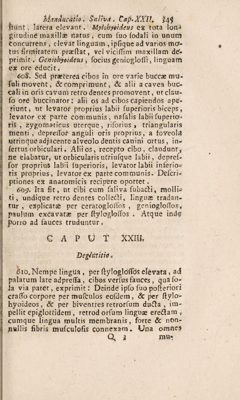 / Manducatio. Saliva. Cap*XXIL §4$ fiunt 3 latera elevant. Mylohyoideus eg tota lon^ gitudind maxillae natus, cum fuo (odali in unum toncurrens , elevat linguam , ipfique ad varios mcr- ij tus firmitatem praedat, Velvicifiim maxillam de- Sprimit. Geniohyoideus * foeius geniogloffi, linguam ex ore educit» 608. Sed praeterea cibos in ore varie buccae mu- Fuli movent, & comprimunt, Sc alii a cavea buc¬ cali in oris cavum retro dentes promovent, ut clau- I fo ord buccinator: alii os ad cibos capiendos ape- !riunt «j ut levator proprius labii fuperioris biceps, levator ex parte communis, nafalis labii fuperioM ris , zygomaticus uterque, riforius » triangularis i menti, depreiTor anguli oris proprius, a foveola I utrinque adjacente alveolo dentis canini ortus, in- I fertus orbiculari. Alii os, recepto cibo, claudunt * I ne elabatur, ut orbicularis uftriufque labii, depref- for proprius labii luperiofis, levator labii inferio^ i' ris probrius, levator Cx parte communis. Defer i-» r ptiones ex anatomicis recipere oportet. 600. Ita fit, Ut cibi cum faliva fubadi, molli¬ ti , undique retro dentes fcolledi, linguae tradati- | tur , explicatae per cefatogiolTos , geniogloflos, paulum excavatas per ftyloglolTos . Atque indi 4 porro ad fauces truduntur» ■ ‘t 'i, /■ ' ' ^ € A P U T } XXIIL Deglutitio <i 610.Nempe lingua , per ftylogldifds elevata, ad palatum late adprefla , cibos verfusfauces , qua fo- s Ia via patet, exprimit: Deinde ipifo fuo pofieriori i craflb corpore per mufculos ecrfdem, & per ftvlo- ; hyoideos, & per biventres retrorfum duda , im- i pellit epiglotriderrs , retrod orfum linguae eredam , cumque lingua multis membranis, forte & ntm- nwllis fibris imsfculofis connexam • Una omnes Q, 3 1W