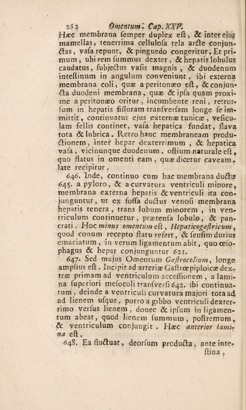 Haec membrana femper duplex ed, dc inter ejyf mamellas? tenerrima cellulofa tela arde conjun¬ ctas , vafa repunt, 3c pinguedo congeritur. Et pri¬ mum , ubi rem fummus dexter, & hepatis lobulus caudatus, fubje&us vafis magnis , 3c duodenum Inteftinum in angulum conveniunt, ibi externa membrana coli, quae a peritonaeo ed, &conjun* da duodeni membrana, quae & ipfa quam proxi¬ me a peritonaeo oritur, incumbente reni, retror- fum in hepatis fifleram trapfverfam longe fe im¬ mittit , continuatur ejus e^terose tunicae , veficu- lam fellis continet, vafa hepatica fundat, flava tota & lubrica. Retro hanc membraneam produ- dionem, intef hepar dexterrimum , & hepatica vafa, vicinunque duodenum, odium naturale ed , quo flatus in omenti eam, quas dicetur caveam * late recipitur. 646. Inde, continuo cum hac membrana dudn 645. a pyloro, & a curvatura ventriculi minore, membrana externa hepatis & ventriculi ifa con¬ junguntur, ut ex fofla dudus venoli membrana hepatis tenera, trans lobum minorem , in ven¬ triculum continuetur, praetenfa lobulo, & pan- crati „ Hoc minus omentum efl , Hepaticogaflricum 5 quod conum recepto flatu refert, & fenfim durius emaciatum, in verum ligamentum abit, quocefo» phagus & hepar conjunguntur 621. 647. Sed majus Omentum Gafirocclium, longe amplius efl. Incipit ad arteriae Gaftroepiploicae dex^ trae primam ad ventriculum acceffionem , a lami¬ na fuperiori mefocoii tranfverfi 642. ibi continua¬ tum, deinde a ventriculi curvatura majori totaad ad lienem ufque, porro a gibbo ventriculi dexter¬ rimo verius lienem , donec & ipfum in ligamen¬ tum abeat, quod lienem lummum, polirem uro, & ventriculum conjungit. Haec anterior lamii na ed. 64S. Eafluduat, deorfum prcduda, anteinte* ftina ,