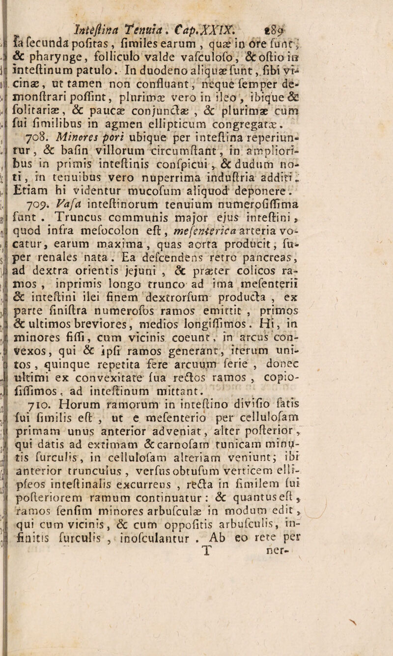 M i 0 !• i- btieftina Tenuia» Cap.XXlX* fcSp fa fecunda pofitas, fimiles earum , qua? in ore funt, & pharynge, folliculo valde vafculofo, Scoftioin inteftinum patulo. In duodeno aliquas funt, fibi vi¬ cinae , ut tamen non confluant, neque femper de- monftrari poflint, plurima? vero in ileo , ibique& folitariae, Sc pauc^ conjundae , Sc plurimae cum fui fimilibus in agmen ellipticum congregata?. 708. Minares pori ubique per inteflina reperiun» tur, Sc bafin villorum circumflant, in ampliori¬ bus in primis inteflinis confpicuiSc dudum no¬ ti, in tenuibus vero nuperrima induftria additi „ Etiam hi videntur mucofum aliquod deponere . 709. Vafa inteftinorum tenuium nunierofiflima fctnt . Truncus communis major ejus inteftini ? quod infra mefocolon eft, mefenisrka arteria vo¬ catur, earum maxima, quas aorta producit, fu- per renales nata. Ea defcendens retro pancreas, ad dextra orientis jejuni , Sc praeter colicos ra¬ mos , inprimis longo trunco ad ima mefenterii & inteflini ilei finem dextrorfum produda , ex parte finiftra numerofos ramos emittit , primos Sc ultimos breviores, medios longiflimos. Hi, in minores fifli, cum vicinis coeunt; in arcus con¬ vexos, qui & ipfi ramos generant, iterum uni¬ tos , quinque repetita fere arcuum ferie , donec ultimi ex convexitate fua redos ramos , copio- fiflimos, ad inteftinum mittant. 710. Horum ramorum in inteflino divifio fatis fui fimilis efl , ut e mefenterio per cellulofam primam unus anterior adveniat, alter poflerior, qui datis ad extimam &carnofarn tunicam mina¬ tis furculis, in cellulofam alteriam veniunt; ibi anterior trunculus , verfus obtufum verticem ellr- pfeos inteflinalis excurrens , reda in fimilem fui pofteriorem ramum continuatur : Sc quantuseft* ramos fenfim minores arbufculse in modum edit, qui cum vicinis, Sc cum oppofitis arbufculis, in¬ finitis furculis , inofculantur . Ab eo rete per T ner-