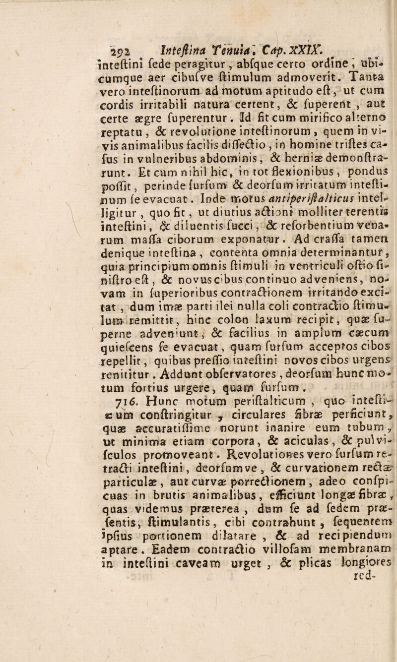 Inteflha Tenuia» Cap. xXIY. inteftini fede peragitur , abfque certo ordine l ubi¬ cumque aer cibufve (limulum admoverit. Tanta vero inteftinorum ad motum aptitudo eft, ut cum cordis irritabili natura certent, & fuperent , aut certe aegre fuperentur. Id fiteum mirifico alterno reptatu, Sc revolutione inteftinorum , quem in vi¬ vis animalibus facilis difledio , in homine triftes ea- fus in vulneribus abdominis, & herniae demonftra- runt. Et cum nihil hic» in tot flexionibus , pondus poflit, perinde iurfurn 8c deorfum irritatum intefli- num (e evacuat. Inde motus antiperiftalticus inteb ligitur, quo fit, ut diutius adbni molliter terentis inteftini, & diluentis fucci, 8c reforbentium vena* rum mada ciborum exponatur. Ad craiTa tamen denique inteftina , contenta omnia determinantur, quia principium omnis (limuli in ventriculi odio fi- n-iftro eft: , & novuseibus continuo adveniens, no¬ vam in (uperioribus contradionem irritando exci¬ tat , dum imae parti ilei nulla coli contra&io (limu¬ lum remittit, hinc colon laxum recipit, q-uae fu- perne adveniunt , Sc facilius in amplum caecum quiefeens fe evacuat, quam fur fu m acceptos cibos repellit, quibus preflio inteftini novos cibos urgens renititur. Addunt obfervatores, deorfum hunc mo¬ tum fortius urgere, quam furfum. 7i6. H unc motum periftalncum , quo inteftb C'um conftringitur f circulares fibrae perficiunt * quae aeeuratiftime norunt inanire eum tubum ? ut minima etiam corpora, Sc acicuias, & pulvi- {culos promoveant. Revolutiones vero furfum re- tradi inteftini, deorfum ve, Sc curvationem redae particulae, aut curvae porredionem, adeo confpi- cuas in brutis animalibus, efficiunt longae fibrae f quas videmus praeterea , dum fe ad fedem prae- jentis, ftimulantis, cibi contrahunt, fequentem ipfius portionem dilatare , & ad recipiendum aptare. Eadem contradic villofam membranam