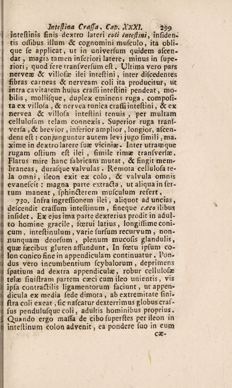 1 Inteftinis finis dextro lateri coti inteftini, infiden-1 ! tis oflibus illum 6c cognomini mufculo, ita obii- ; que fe applicat, ut in univerfum quidem afcen- dat, magis tamen inferiori latere» minus in fupe- 1 xiori, quod fere tranfverfum eft, Ultima vero pars r nerveae <3c villofae ilei inteftini , inter difcedentes ij fibras carneas & nerveam coli ita producitur, ut 1! intra cavitatem hujus crafti inteftini pendeat, mo- : bilis, moliifque, duplex eminens ruga, compofi- i ta ex villofa , & nervea tunica crafti inteftini, & ex I nervea & villofa inteftini tenuis , per multam ii cellulofam telam connexis i Superior ruga tranf- I verfa , Sc brevior, inferior amplior , longior, afcen* tj dens eft ; conjunguntur autem levi jugo fimili ,ma. xime in dextro latere fuae vicinia?. Inter utramque / rugam oftium eft ilei , fimile rimae tranfverfae. : Flatus mire hanc fabricam mutat, dc fingit mem* ii braneas, durafque valvulas . Remota celluiofate* ij la omni, ileon exit ex colo, 6c valvula omnis evanefcit ; magna parte extra&a , ut aliqua in fer- II tum maneat, fphin&erem mufculum refert, 7^0. Infra ingreftionem ilei, aliquot ad uncias, a defcendit craftum inteftinum, fineque c<sco ilibus I infidet, Ex ejus ima parte dexterius prodit in aduj- 0 to homine gracile, foetui latius, longiftimeconi- u cum, inteftinulum , varie furfum recurvum , non- 1 nunquam deorfum , plenum mucofis glandulis, X quae faecibus gluren affundunt. In fetu ipfum co- !| lon conico fine in appendiculam continuatur. Pon- Jdus vero incumbentium fcybalorum , deprimens fpatium ad dextra appendiculae, robur cellulofae l|j telae fioiftram partem caeci cum ileo unientis, vis jtj ipfa contra&ilts ligamentorum faciunt, ut appeti¬ ti dicula ex media fede dimota, ab extremitate fini® 1 ftra coli exeat, fic nafcatur dexterrimus globus craf- ijj fus pendulufque coli, adultis hominibus proprius. Quando ergo maffa de cibofuperftes per ileon in B inteftinum colon advenit, ea pondere fuo in eum