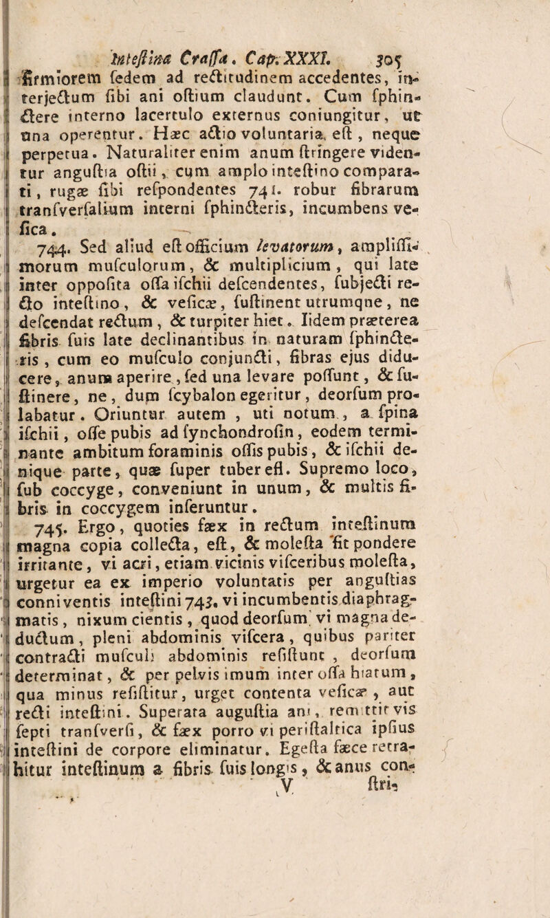 | 'firmiorem fedem ad reditudinem accedentes, its- terjedum (ibi ani oftium claudunt. Cum fphin* !E dere interno lacertulo externus coniungitur, ut j ana operentur. Hsec adio voluntaria, eft , neque | perpetua. Naturaliter enim anum ftnngere viden- r tur angufba oftii> cum amplo inteftino compara-» ti, rugae fibi refpondentes 74 i. robur fibrarum i tranfverfalium incerni fphinderis, incumbens ve- i fica. 744, Sed aliud eft officium levatorum, ampliffi- ijj morum mufculorum, & multiplicium, qui late iti inter oppofita offa ifchii defcendentes, fubjedi re- § do inteftino, & vehcae, fuftment utrumqne, ne I defcendat rediun , & turpiter hiet. lidem praeterea I fibris fuis late declinantibus in naturam fphinde- jj ris, cum eo mufculo conjundi, fibras ejus didu¬ cere, anuna aperire , fed una levare poffunt, &fu- Iftinere, ne, dum fcybalon egeritur, deorfum pro¬ labatur . Oriuntur autem , uti notum , a. fpina ifchii, offe pubis ad fynchondrofin, eodem termi¬ nante ambitum foraminis offis pubis, & ifchii de¬ nique parte, quae fuper tuberefl. Supremo loco, | fub coccyge, conveniunt in unum, & multis fi- 1 hris in coccygem inferuntur. 1 745. Ergo, quoties faex in redum inteftinura i,|j magna copia colleda, eft , & molefta fit pondere j; irritante, vi acri, etiam vicinis vifceribus molefta, 1 urgetur ea ex imperio voluntatis per anguftias a conni ventis inteftini 743, vi incumbentis diaphrag- ii matis , nixum cientis , quod deorfum vi magna de- jjduclum, plent abdominis vifcera, quibus pariter I contradli mufcuh abdominis refiftunt , deorfum I determinat, & per pelvis imum inter offa hiarum, qua minus refiftitur, urget contenta veficar , aut redi inteftini . Superata auguftia an<, rem ttir vis ! fepti tranfverfi, & faex porro vi periftaltica ipfius inteftini de corpore eliminatur. Egefta faece retra- Ihitur inteftinum & fibris fuis !ong's, &anus con-