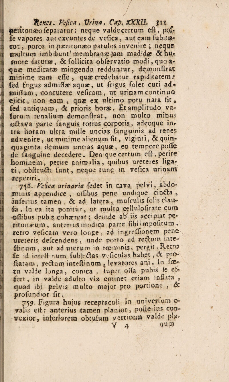 ri: 1 4 Fejica. tfr/»*. Cap.XXXU. |lt ^perltonaso feparatur: neque valdecertum efl, pol/ fe vapores aut exeuntes de veOca, aut eam fubita* xor, poros in paeritonaeo patulos invenire ; nequ$ multum imbibunt1 membranae jam madidae &hu.«e more faturae , & follicita obfer vatio modi, quo a* quae medicatae mingendo redduntur, demonftrat minime eam efTe , quae credebatur rapiditatem; fed frigus admiffae aquae, ut frigus foiet cuti ad* tniffum, concutere veficam, ut urinam continua ejicit,, non eam , quae ex ultimo potu nata iit 9 fed antiquam, 6c prioris horas. Et amplitudo va- Corum renalium demonftrat, non multo mitius ©iflava parte fanguis totius corporis,, adeoque in* tra horam ultra mille uncias (anguinis, ad renes advenire, ut mmime alienum (it, viginti, 8c quin¬ quaginta demum uncias aquae, eo tempore polle de (anguine decedere. Den que certum efl, perire hominem, perire animalia, quibus ureteres liga* ti, obftru&i funt, neque tunc in vefiea urinam referiri,. . , ^ / 758. Feltca urinaria fedet in cava pelvi, abdo^ xnmts appendsee , offibus pene undique cin£la , inferius tamen & ad latera, mufculisfoliscl.au- fa . In ea ita ponitur, vir multa cellulolirate cum ©ffibus pubis cohaereat; deinde ab' iis accipiat pe- ritonapum, anterius modica parte fibi impolitum , retro veficam vero longe, ad ingreffionem pene ureteris defcendens, unde porro ad retium inte» fimum, aut ad uterum in foemmis, pergit,Retro fe id intefbnum fubjptlas vvficulas habet, & pro¬ flatam, retium inteflinum 3 levatores api. In tu valde longa, comca , tuper offa pubis le ex* fert, in valde adulto vix eminet etiam infkta 9 quod ibi pelvis multo major pro portione 3 Sc profundior (it, 759 Figura hujus receptaculi ini univerium 0- valis eit: anterius tamen planior 5 pofferius con¬ vexior, inferiorem obtufura verticem valde pia- y 4 V- num