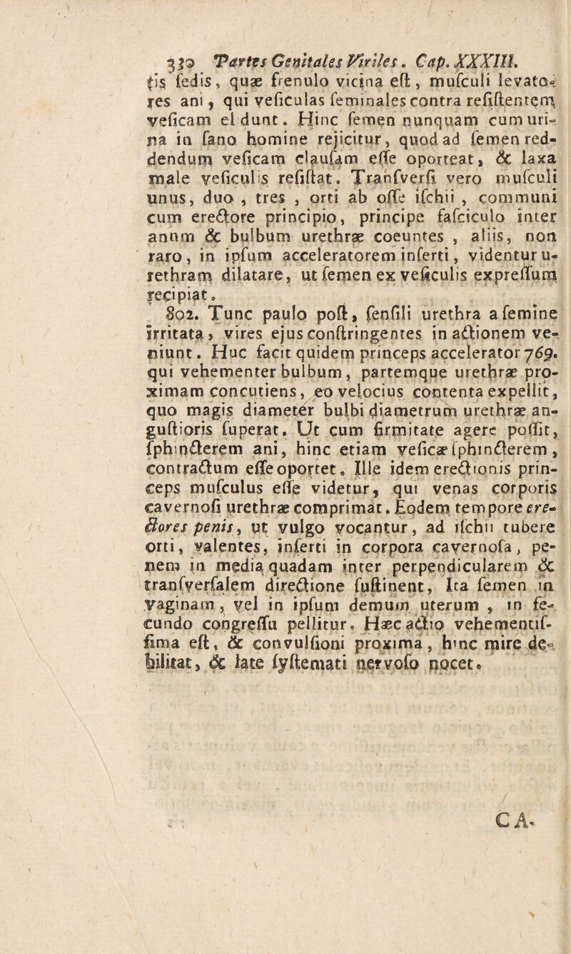 3 $3 *Partos Genitales Viriles. Cap.XXXIIL fi$ ledis, quae frenulo vicina effc, mufculi levato¬ res ani 9 qui veficulas feminales contra refiftentcm, veficam el dunt. Hinc femen nunquam cumuri- na in fano homine rejicitur, quod ad femen red¬ dendum veficam daufam efte oporteat, Sc laxa male veficulis refiftat» Tranfverfi vero oiufculi unus, duo , tres , orti ab ofie ifchii , communi cum e redo re principio, principe fafcicuio inter anum 6c bulbum urethrae coeuntes , aliis, non raro, in ipfum acceleratorem inferti, videnturu- rethram dilatare, ut femen ex verculis expreflum recipiat» 802. Tunc paulo poft, fenfili urethra a femine Irritata 5 vires ejus confringentes in adionem ve¬ niunt . Huc facit quidem princeps accelerator 765?. qui vehementer bulbum, partemque urethra? pro¬ ximam concutiens, eo velocius contenta expellit, quo magis diametdr bulbi diametrum urethrae an- guftioris fuperat. Ut cum firmitate agere pofiit, fphioderem ani, hinc etiam veficaHphinderem, contradum efie oportet* Ille idemeredionis prin¬ ceps mufculus elfe videturf qui venas corporis cavernofi urethra comprimat. Eodem tempore ere- Borespenis, ut vulgo vocantur, ad ifchii tubere orti, valentes, inferti in corpora eavernofa, pe¬ nem in media quadam inter perpendicularem 8c tranfverfalem diredione fuftinent, Ita femen in vaginam , vel in ipfum demum uterum , in fe¬ cundo congreffu pellitur» Haecadtio vehemennf- fima eft, 8c convulfioni proxima, hmc mire de¬ bilitat , de late fyftemati aervofo noceto