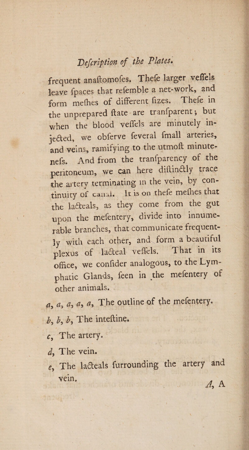 frequent anaftomofes. Thefe larger veffels leave fpaces that refemble a net-work, and form melhes of different flzes, Thefe in the unprepared ftate are tranfparent but when the blood veffels are minutely in- iefted, we obferve feveral fmall arteries, and veins, ramifying to the utmoa minute- nefs. And from the tranfparency of the peritoneum, we can here didinflly trace the artery terminating in the vein, by con¬ tinuity of canal. It is on thefe mefhes that the la6teals, as they come from the gut upon the mefentcry, divide into innume¬ rable branches, that communicate frequent¬ ly with each other, and^form a beautiful plexus of lafteal veffels. That in its office, we confider analogous, to the Lym¬ phatic Glands, feen in the mefentery of other animals. . a, <?, a, a, a. The outline of the mefentery. h, h, I, The inteffine. f. The artery. i, The vein. e. The ladfeals furrounding the artery and vein. Ay A 1