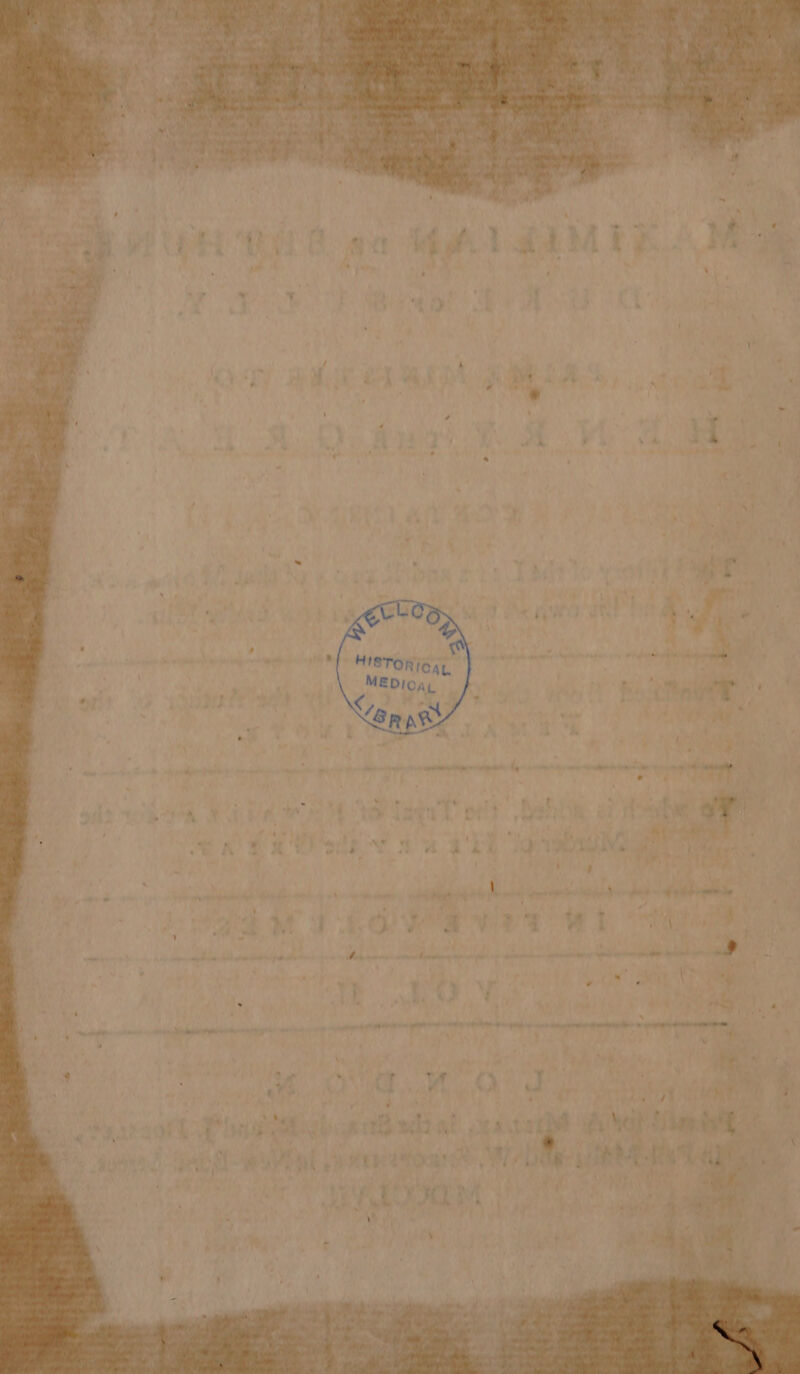 x Meat ten due phare pee dant gt À we RP ER TT ssésdiitetiittis spip és iii \ | 4 e t { . ‘ , à \ % À ' P «lee > Now | * aly Va ons A ee ee à 8 : % 4 7 PhD ES eR a A M IIS A Vie a me \ es OF st Ai t trou eee SOIL 1h FY Ps | wo by) 7 Pay eh inc TAB Tr eae 7 « . eed a i aig: état, w d : A LE L V JOIE iT i eas AE NE Po Re A à | wy yy ea 19 ha UE ’ x