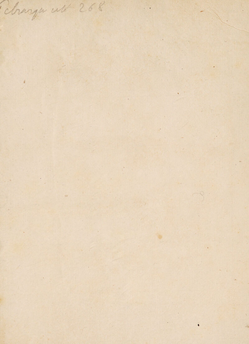 I <4 ■jt ' - f I ( \ ' / i N *■