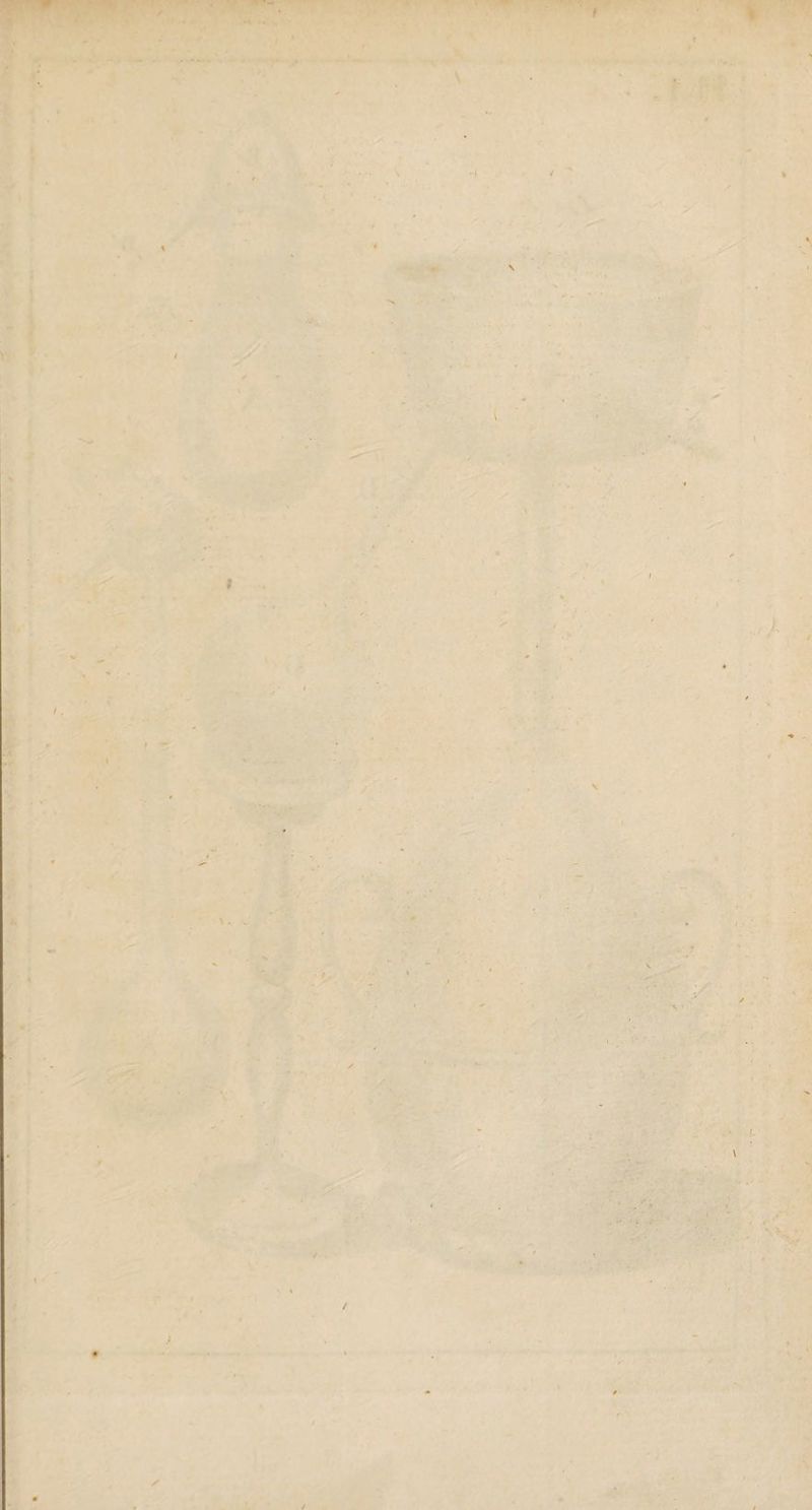 ■ •-* • -4 • * / «