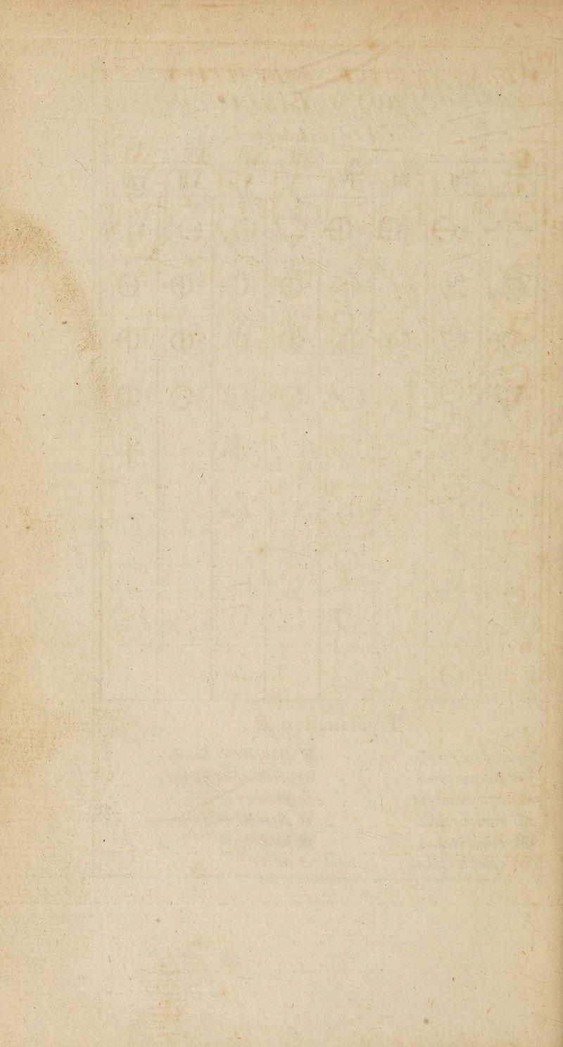 ü . - • - ■ ■: '■. ■ ■ ■ • ■jt- •• '• - ■ . •V • 'ut ■ ‘ .. ■■ ■