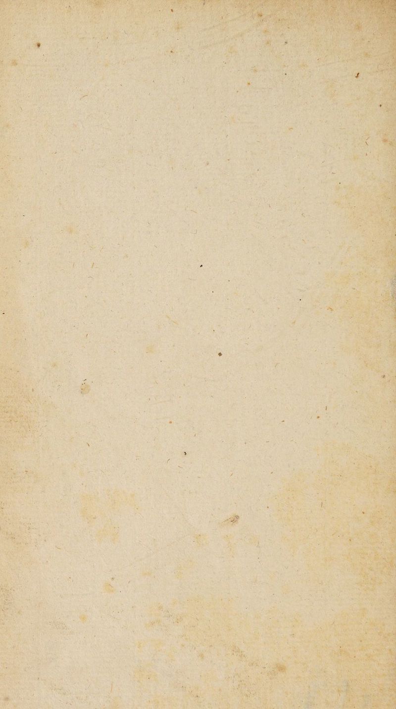 /■ V -J. * i V-’ ■ ' V' - ' r,.i . -N à'. : x • .t. . • 'V- V> t • • ),'• ... ‘ , I \ * » • . f * ' P