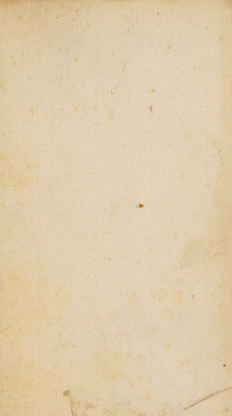 * Mi I I * . ■> V * 1 f