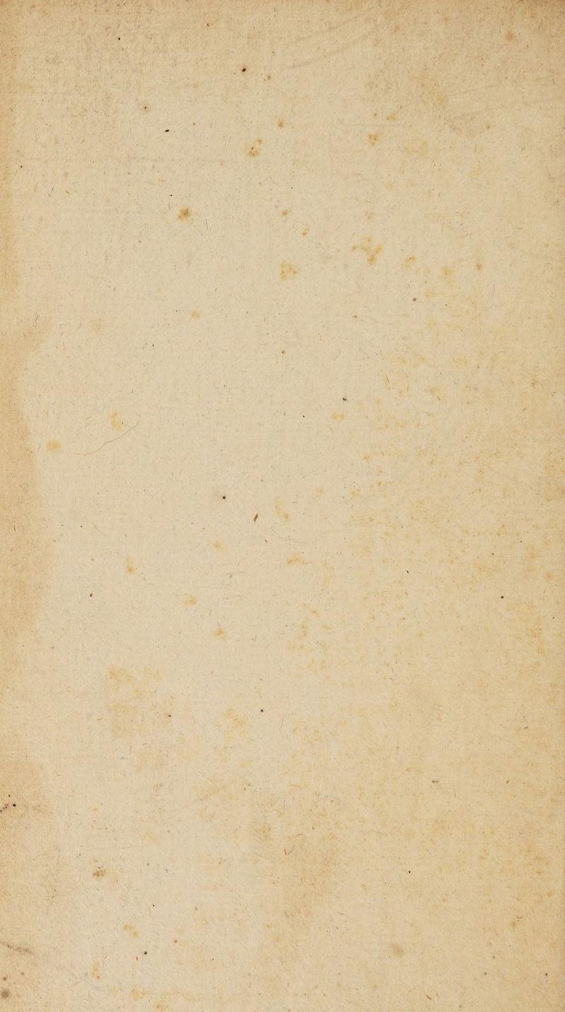 Vf J V, > y •/• f C P t ■ > '* , t ; • » : t ' : * \ \i . .V & <. , i / n *■ - • ■ ■ » ' ■. -■ . * i • * ■ •4V v/ %■ g V