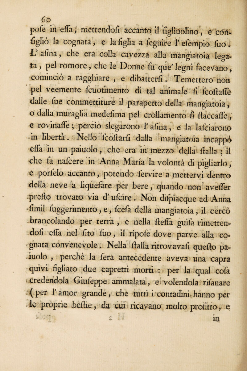 pofe in effa, mettendoli accanto il figliuolino, e cóli- figliò la cognata, e la figlia a feguire 1’ efempio Tuo, *L a fina, che era colla cavrezza alla mangiatoia lega¬ ta , pel romore, che le Donne lu que’legni facevano, cominciò a ragghiare , e dibatterfi . Temettero non pel veemente Icuotimento di tal animale fi Icodafle dalle fue commettiture il parapetto della mangiatoia, o dalla muraglia medefima pel crollamento fi daCcafle, e rovinafle ; perciò slegarono 1’ afina, e la ìafciarono in libertà. Nello fcollarfi dalla mangiatoia incappò efla in un paiuolo, che era in mezzo della dalla ; il che fa nafcere in Anna Maria la volontà di pigliarlo, e porfelo accanto, potendo lervire a mettervi dentro della neve a liquefare per bere, quando non avefler predo trovato via d’ufcire. Non difpiacque ad Anna •fimil fuggerimento, e, fcefa della mangiatoia, il cercò brancolando per terra , e nella della guila rimetten¬ doli efla nel fito fuo, il ripofe dove parve alla co¬ gnata convenevole. Nella dalla ritrovavafi quedo pa¬ iuolo , perche la fera antecedente aveva una capra quivi figliato due capretti morti : per la qual cofa credendola Giufeppe ammalata, e volendola rifanare (per l’amor grande, che tutti i contadinihanno per le proprie bedie, da cui ricavano molto profitto, e