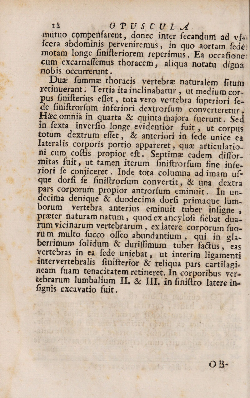 mutuo compenfarent, donec inter fecandum ad vfc fcera abdominis perveniremus, in quo .aortam fede motam longe finifteriorem reperimus. Ea occafione cum excarnalTemus thoracem, aliqua notatu digna Dua* fumma? thoracis vertebra? naturalem fitum retinuerant. Tertia ita inclinabatur , ut medium cor^. pus finifteritis elfet, tota vero vertebra fuperiori fe- de finiftrorfum inferiori dextrorfum converteretur# H^c omnia in quarta & quinta majora fuerunt. Sei in fexta inverfio longe evidentior fuit , ut corpus totum dextrum effet, & anteriori in fede unice ea lateralis corporis portio appareret, qua? articulatio¬ ni cum coitis propior eft. Septima? eadem diffor- mitas fuit, ut tamen iterum finiftrorfum fine infe¬ riori fe conjiceret. Inde tota columna ad imam uf- que dorfi fe finiftrorfum convertit, & una dextra pars corporum propior antrorfum eminuit. In un¬ decima denique 8c duodecima dorfi primaque lum« borum vertebra anterius eminuit tuber infigne # prxter naturam natum , quod ex ancylofi fiebat dua¬ rum vicinarum vertebrarum, ex latere corporum fuo- rtim multo fucco olfeo abundantium , qui in gla¬ berrimum folidum & duriflimum tuber fa&us, eas vertebras in ea fede uniebat, ut interim ligamenti intervertebralis finifterior & reliqua pars cartilagi¬ neam fuam tenacitatem retineret. In corporibus ver«* tebrarum lumbalium II. & III. in finiftro latere in*, lignis excavatio fuit. O B-