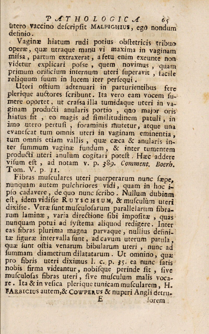 litero vaccino defcripfit Malpighius, egd nondum ctefinio. Vaginae hiatum rudi potius obftetricis tribuo operae, quae utraque manu vi maxima in vaginam niifsa, partum extraxerat, a fetu enim exeunte non Videtur explicari pofse , quem novimus , quam primum orificium internum uteri fuperavit } facile reliquum fuum in lucem iter perfequi. Uteri oftium adtenuari in parturientibus fere pierique audores feribunt. Ita vero eam vocem fu¬ nere oportet, ut crafsa illa tumidaque uteri in va¬ ginam produ&i anularis portio , quo major oris hiatus fit , eo magis ad limilitudinem patuli, in imo utero pertuli , foraminis mutetur, atque una evanefeat tum omnis uteri in vaginam eminentia, tum omnis etiam vallis , quae caeca & anularis in¬ ter fummum vaginae fundum , & inter tumentem produdti uteri anulum cogitari poteII. Haec addere vifum eft , ad notam v. p. 389. Commenta Boerh. Tom. V. p. 11. Fibras mufculares uteri puerperarum nunc faepe, : nunquam autem pulchriores vidi, quam in hoc i* pio cadavere , de quo nunc feribo . Nullum dubiam » eft, idemvidifse Ruyschium, &mufculum uteri ! dixifse. Verae funt mufculofarum parallelarum fibra- ; rum laminae , varia dirediione fibi impolitae , quas ; nunquam potui ad fyftema aliquod redigere. Inter 1 eas fibras plurima magna parvaque, nullius defini¬ tae figurae intervalla funt, ad cavum uterum patula, quae funt oftia venarum bibularum uteri , nunc ad fummam diametrum dilatatarum . Ut omnino, quae | pro fibris uteri diximus 1. c. p. $$. ea nunc fatis ! nobis firma videantur, nobifque perinde fic , live s mufculofas fibras uteri, live mu/culum malis voca¬ le. Ita&invefica pierique tunicam mufcularem, ?Arbxcius autem,& Cqwperus & nuperi Angli detru, £ • x ioxem.