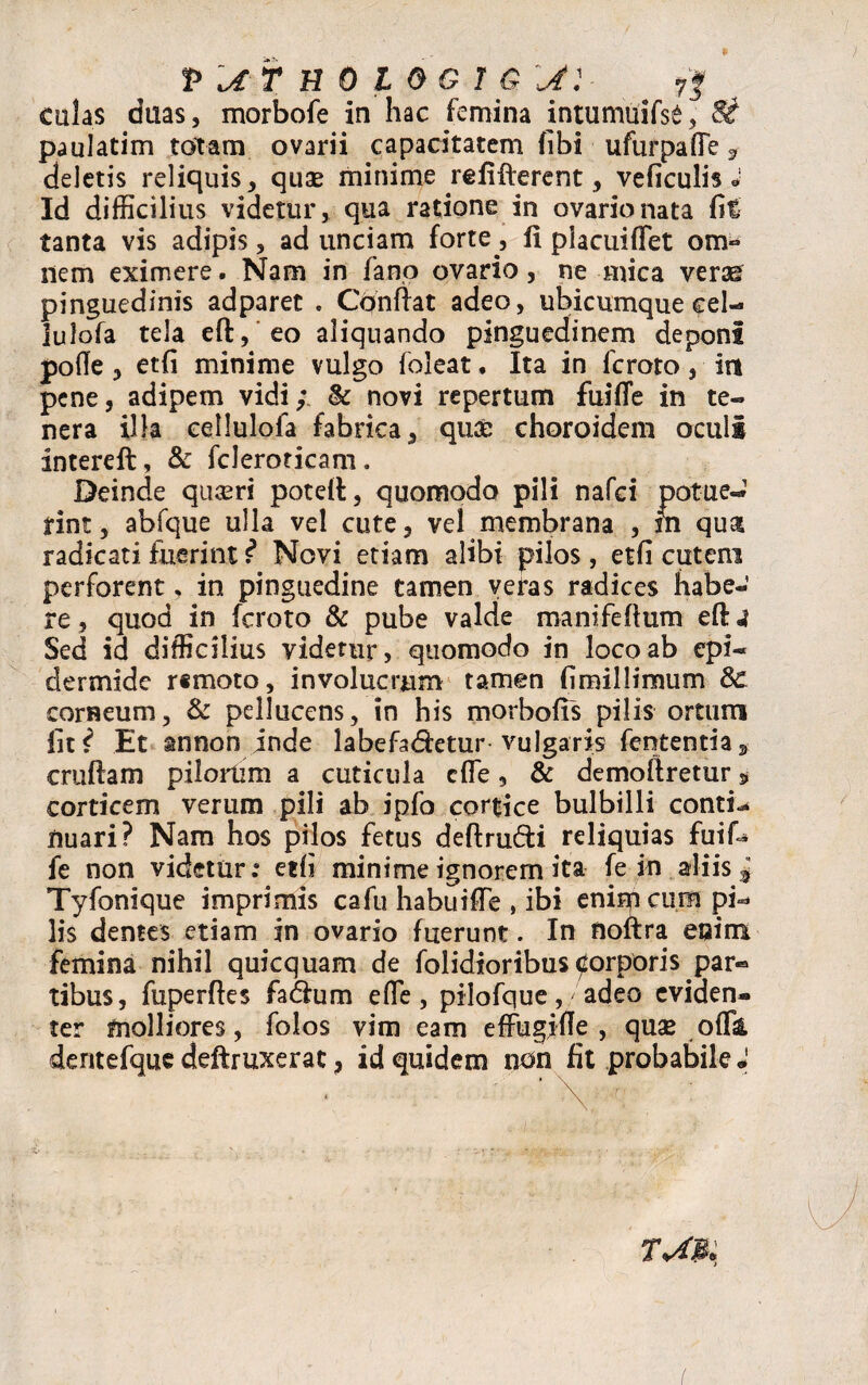 culas duas, morbofe in hac femina intumuifse, Si paulatim totam ovarii capacitatem (ibi ufurpaflfe f deletis reliquis, quae minime refifterent, veficulis J Id difficilius videtur, qua ratione in ovario nata fit tanta vis adipis, ad unciam forte, li placuiffet om¬ nem eximere. Nam in fano ovario, ne mica verse pinguedinis adparet . Conflat adeo, ubicumque cel- iulofa tela efl, eo aliquando pinguedinem deponi pofTe, etfi minime vulgo foleat. Ita in fcroto, in pene, adipem vidi; & novi repertum fuifle in te- nera illa eellulofa fabrica, qu£ choroidem oculi intereft, & fcleroricam. Deinde quseri potefl, quomodo pili nafei potue-1 rint, abfque ulla vel cute, vel membrana , sn qua radicati fuerint ? Novi etiam alibi pilos, etfi cutem perforent. in pinguedine tamen veras radices habe¬ re , quod in fcroto & pube valde roanifeftum eft 4 Sed id difficilius videtur, quomodo in loco ab epi« dermide r«moto, involucrum tamen fimillimum & corneum, & pellucens, in his morbofts pilis ortum iit? Et annon inde labefadetur vulgaris fententia3 cruftam pilorum a cuticula cfle, & demofiretur $ corticem verum pili ab jpfo cortice bulbilli contio nuari? Nam hos pilos fetus deftru&i reliquias fuif- fe non videtur: etfi minime ignorem ita fe in aliis* Tyfonique imprimis cafu habuifle , ibi enim cum pi¬ lis dentes etiam in ovario fuerunt. In noftra enim femina nihil quicquam de folidioribus ^orporis par« tibus, fuperftes fadhim efTe, pilofque, adeo eviden¬ ter molliores, folos vim eam effugjfle , quas oflk dentefque deftruxerat ? id quidem non fit probabile J