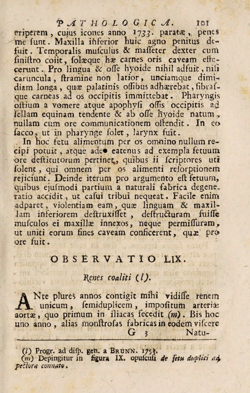 eriperem , cujus icones anno 17jj. paratas , penes 'me funt. Maxilla iftferior huic agno penitus de¬ fuit. Temporalis mufculus & mafleter dexter cum fini liro coiit, fokeque hae carnes oris caveam effe¬ cerunt Pro lingua & ofle hyoide nihil adfuit, nili caruncula, ftramine non latior, unciamque dimi¬ diam longa, quas palatinis oflibus adhaerebat, fibra!- que carneas ad os occipitis immittebat - Pharyngis olfium a vomere atque apophyfi offis occipitis ad feliam equinam tendente & ab ofle hyoide natum ,, nullam cum ore communicationem offendit. In eo £acco? ut in pharynge folet, larynx fuit. . In hoc fetu alimentum per os omnino nullum re¬ cipi potuit, atque acie# eatenus ad exempla fetuum ore deftitutorum pertinet;, quibus ii fcriptores uti folent, qui omnem per os alimenti rejorptionem rejiciunt . Deinde iterum pro argumento eft fetuum» quibus ejufmodi partium a naturali fabrica degene» ratio accidit, ut cafui tribui nequeat. Facile enim •adparet, violentiam eam, qute linguam & maxil¬ lam inferiorem deitruxiffet , deflruifluram fuifie mufculos ei maxillas innexos, neque permiffuram, ut uniti eorum fines caveam conficerent, qux pro ore fuit. O B S £ R V A T I O LlX. Henes coaliti (l). ANte plures annos contigit mihi vidifTe renem unicum, femiduplicem, impolitum arteriae aortae, quo primum in iliacas fecedit (m). Bis hoc uno anno, alias rnonftrofas fabricas in eodem vi fcerc G s Natu- (/) Progr. ad difp. geh. a Brunn. 'i?5^ (m) Depingitur in figura IX. opufculi 4t fett* duplici pe6iora connato»