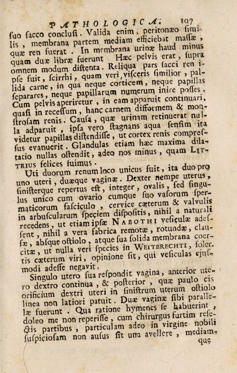 P^rHoiocif^; . fuo facco conclufi. Valida enim* peritonaeo £ ,membrana partem mediam eftceba mafe , ’ ,en f„erat . In membrana urina; haud minus quam dux librx fuerunt . Ha?c pelvis, erat, fupr» Sm modum diftenta. Reliqua pars iacd ren - nr*cn\r fcirrhi, quam veri.viiccris imtWX > m Hda came, in qua neque corticem, neque papillas neque papillarum numerum inire poffes. rnm nelvisaperiretur , in eam apparuit continuari, auafi in receffum, hanc carnem difformem & mon- Sam reniT. Cauta , qux urinam reunuerat m, - U adoaruit , ipfa vero ftagnans aqua fenfim ita videtur papillas aiftendirte , ut cortex renis compref- fus evanuerit . Glandulas etiam hxc maxima dila, tacio nullas oftendit, adeo nos mmus, quam Lix- trius felices fuimus* . c ** :♦.* ^nnnro Uti duorum renum loco untcus fm. 9 utcru3 uno uteri, duaeque vagina. Dexter P ^ * finifterque repertus eft, integer, ovalis > te J» «f. rf> jfesfa“ te in arbufcularum flwem adef, recedens, ut etiamipfae/N rntundx clau- Cf,nt nihil a vera fabrica remot® , rotunax, cuu r' abfque oftiolo , atque fua folida membrana coer- “singSfnterffua 'recondit r°fi ium° dextTutertin fmiftrum uterum oftiolo ffiSE» Si ?53tDux vaginx fibi wnjfe- ly fnerunt . Qua ratione hymenes fe tubiierm * doleo me non reperifle , cum chirurgus furum r^e- ais partibus, particulam acho m Jirgi fufpiciofam non aufus fit una avellere , ® —