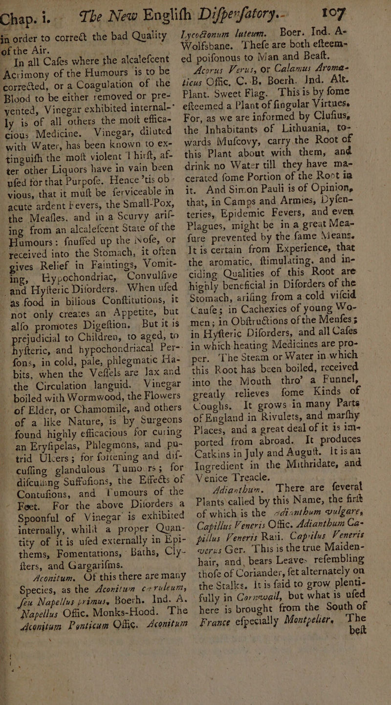 jn order to correct the bad Quality of the Air. foc hgtrh aa ‘ In all Cafes where the alcalefcent Acrimony of the Humours is to be corrected, or a Coagulation of the Blood to be either removed or pre- ly is of all others the mott effica- cious Medicine. Vinegar, diluted with Water, has been known to ex- tinguifh the moft violent I hirft, af- ter other Liquors have in vain been nfed for that Purpofe. Hence ’tis ob - vious, that it muft be ferviceable in acute ardent Fevers, the Small-Pox, the Meafles, and in a Scurvy arif- ing from an alcalefcent State of the Humours: fnuffed up the Nofe, or ‘yeceived into the Stomach, it often gives Relief in Faintings, Vomit- ing, Hypochondriac, Convulfive and Hyfteric Diforders. When ufed as food in bilious Conftitutions, it not only creates an Appetite, but alfo promotes Digeftion. But it 1s rejudicial to Children, to aged, to fons, in cold, pale, phlegmatic Ha- bits, when the Veflels are Jax and the Circulation languid. Vinegar boiled with Wormwood, the Flowers - of Elder, or Chamomile, and others of a like Nature, is by Surgeons found highly efficacious for curing an Eryfipelas, Phlegmons, and pu- trid Ulcers; for foftening and dif- difcuiing Suffofions, the Effects of Contufions, and lumours of the - Feet. For the above Diiorders a Spoonful of Vinegar is exhibited internally, whilit a proper Quan- tity of it is ufed externally in Epi- thems, Fomentations, ’ Baths, Cly- fters, and Gargarifms. Aconitum, Of this there are many Species, as the Aconiturn crruleum, feu Napellus primus, Boerh. Ind. A. Napellus Offic. Monks-Hood. The Aconitum Ponticaum Ofc. Aconitum 107 Lycodonum luteum. Boer. Ind. A- Wolfsbane. hefe are both efteem- ed poifonous to Man and Beat. Acorus Verus, or Calamus Aroma. ticus Ofc, C. By Boerh. Ind. Alt. Plant. Sweet Flag. This is by fome efteemed a Plant of fingular Virtuess For, as we are informed by Clufius, the Inhabitants of Lithuania, to- - wards Mufcovy, carry the Root of this Plant about with them, and drink no Water till they have ma- cerated fome Portion of the Root ia it. And Simon Pauli is of Opinion, that, in Camps and Armies, Dyfen- teries, Epidemic Fevers, and even Plagues, might be in a great Mea- fure prevented by the fame Nieans. It is certain from Experience, that the aromatic, ftimulating. and in- ciding Qualities of this Root are highly beneficial in Diforders of the Stomach, arifing from a cold vilcid Caufe; in Cachexies of young Wo- men; in Obftructions of the Menfes ; in Hyfteric Diforders, and all Cafes in which heating Medicines are pro- per. ‘Ihe Steam or Water in.which this Root has been boiled, received into the Mouth thro’ a Funnel, greatly relieves fome Kinds of Coughs. It grows in many Parts | of England in Rivulets, and marfhy Places, and a great deal of it is im- orted from abroad. It produces Catkins in July and Auguit. Itisan Ingredient in the Mithridate, and Venice Treacle. af hae Adianthum. There are feverat Plants calied by this Name, the firit of which is the ~dtanthum vulgare, Capillus Veneris Offic. Adianthum Ca- pillus Veneris Rau, Caprilus Veneris werus Ger. This is the true Maiden- hair, and, bears Leaves refembling thofe of Coriander, fet alternately on the Stalls, itis faid to grow plenti- fully in Cornwall, bot what is ufed here is brought from the South of France efpecially Montpelier, on ¢