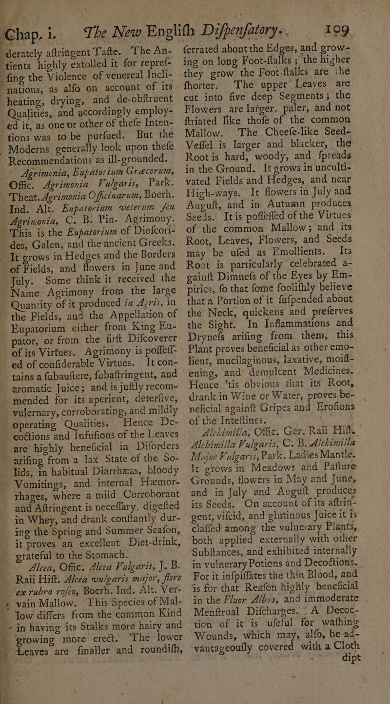 Chap, E ; derately aftringent Tafte. ‘The An- ‘tients highly extolled it for repref- fing the Violence of venereal Incli- 1) Qualities, and accordingly employ- -ed it, as one or other of thefe Inten- tions was to be purfued. But the ‘Recommendations as ill-grounded. Agrimonia, E upatorium Grecorum, (Offic. Agrimonia Vulgaris, Park. ‘Theat. derimonia Officinarum, Boerh. This is the Eupatorium of Diofcori- des, Galen, and the ancient Greeks. of Fields, and flowers in June and July. Some think it received the the Fields, and the Appellation of -Eupatorium either from King Eu- of its Virtues. Agrimony is poffefi- Tt con- tains a fubauttere, fabaftringent, and aromatic Juice; and is juftly recom- operating Qualities. Hence De- coGions and Infufions of the Leaves arifing from a lax State of the So- -~Vomitings, and internal Hemor- rhages, where a mild Corroborant and Aftringent is neceflary, digelted in Whey, and drank conftantly dur- ing the Spring and Summer Seafon, it proves an excellent Diet-drink, grateful to the Stomach. Alcea, Offic. Alcea Vulgaris, J.B. ae Yow differs from the common Kind Leaves are fmaller and roundith, ferrated about the Edges, and grow- ing on long Foot-flaiks ; the hizher they grow the Foot-ftalks are the fhorter. The upper Leaves are cut into five deep Segments; the Flowers are larger, paler, and not ftriated Jike thofe of the common Mallow. The Cheefe-like Seed- Veffel is larger and blacker, the Root is hard, woody, and fpreads in the Ground. It grows in unculti- vated Fields and Hedges, and near High-ways. It flowers in July and Auguft, and in Autumn produces Seeds. Itis pofiefled of the Virtues of the common: Mallow; and _ its Root, Leaves, Flowers, and Seeds may be ufed as Emollients. Its Root is particularly celebrated a- gainft Dimnefs of the Eyes by Em- Pirics, fo that fome foolifhly believe that a Portion of it fufpended about the Neck, quickens and preferves the Sight. In Inflammations and Drynefs arifing from them, this Plant proves beneficial as other emo- lient, mucilaginous, laxative, moill- ening, and demulcent Medicines. . Hence ’tis obvious that its Root, drank.in Wine or Water, proves be- neficial againft Gripes and Erofions of the Inteftines. Ree ae Alchimilla; Offic. Ger. Rali Hit. Alchimilla Vulgaris, C. B. Alchimilla Major Vulgaris, Park. Ladies Mantle. It grows in Meadows and Pafture Grounds, flowers in May and june, and in July and Auguft produces its Seeds. On account of its aftrin- gent, vifcid, and glutinous Jaice it is | clafled among the vulnerary Plants, both applied externally with other Subftances, and exhibited internally in vulnerary Potions and DecoCtions.., For it infpiffates the thin Blood, and is for that Reafon highly beneficial in the Fluor Albus, and immoderate | Menftrual Difcharges../ A Decoc- tion of it is ufeful for wafhing Wounds, which may, alfo, be ac- vantageoufly covered with a Cloth